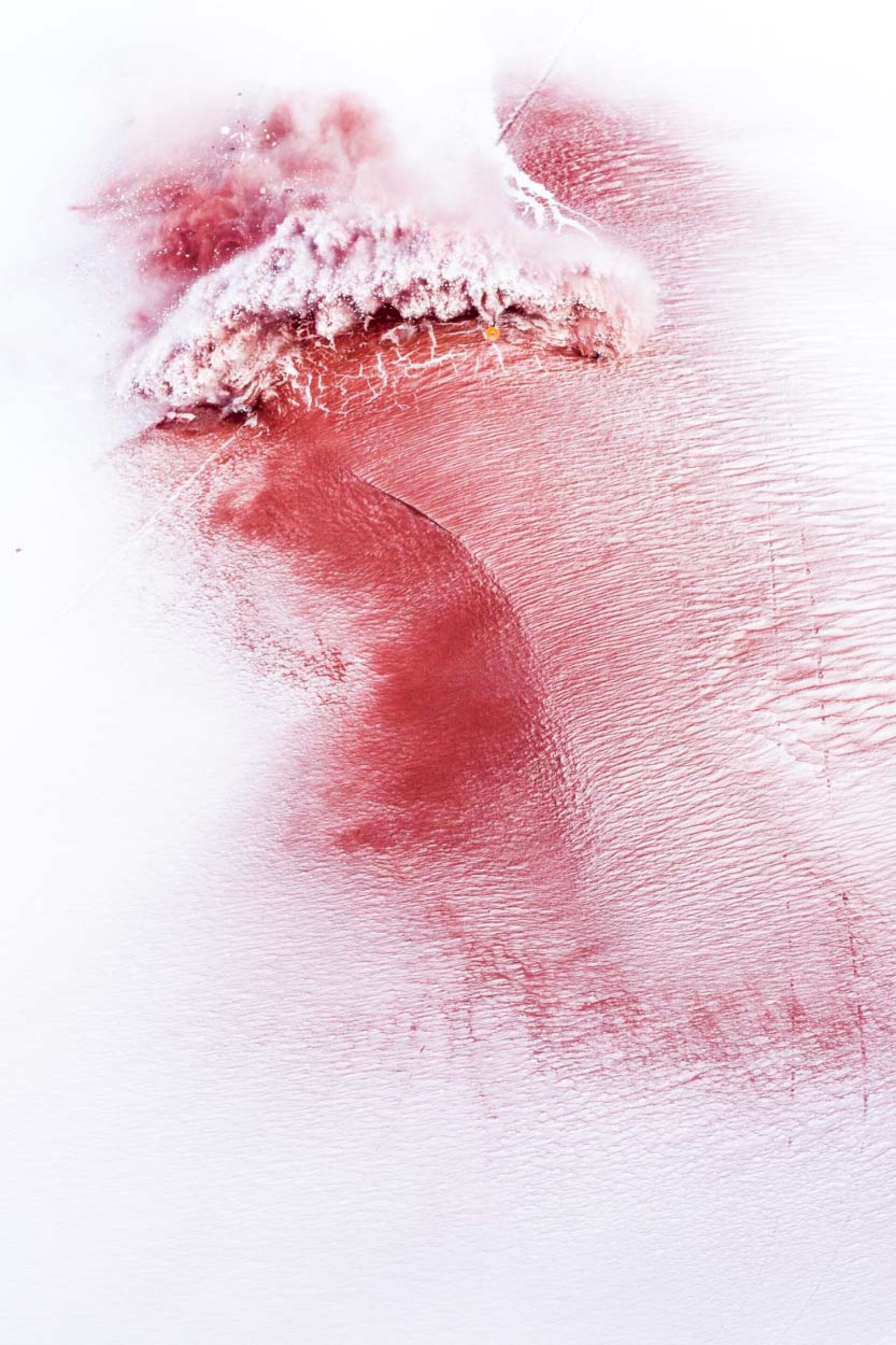 Couleurs I, photographie de Jérémy Bernard