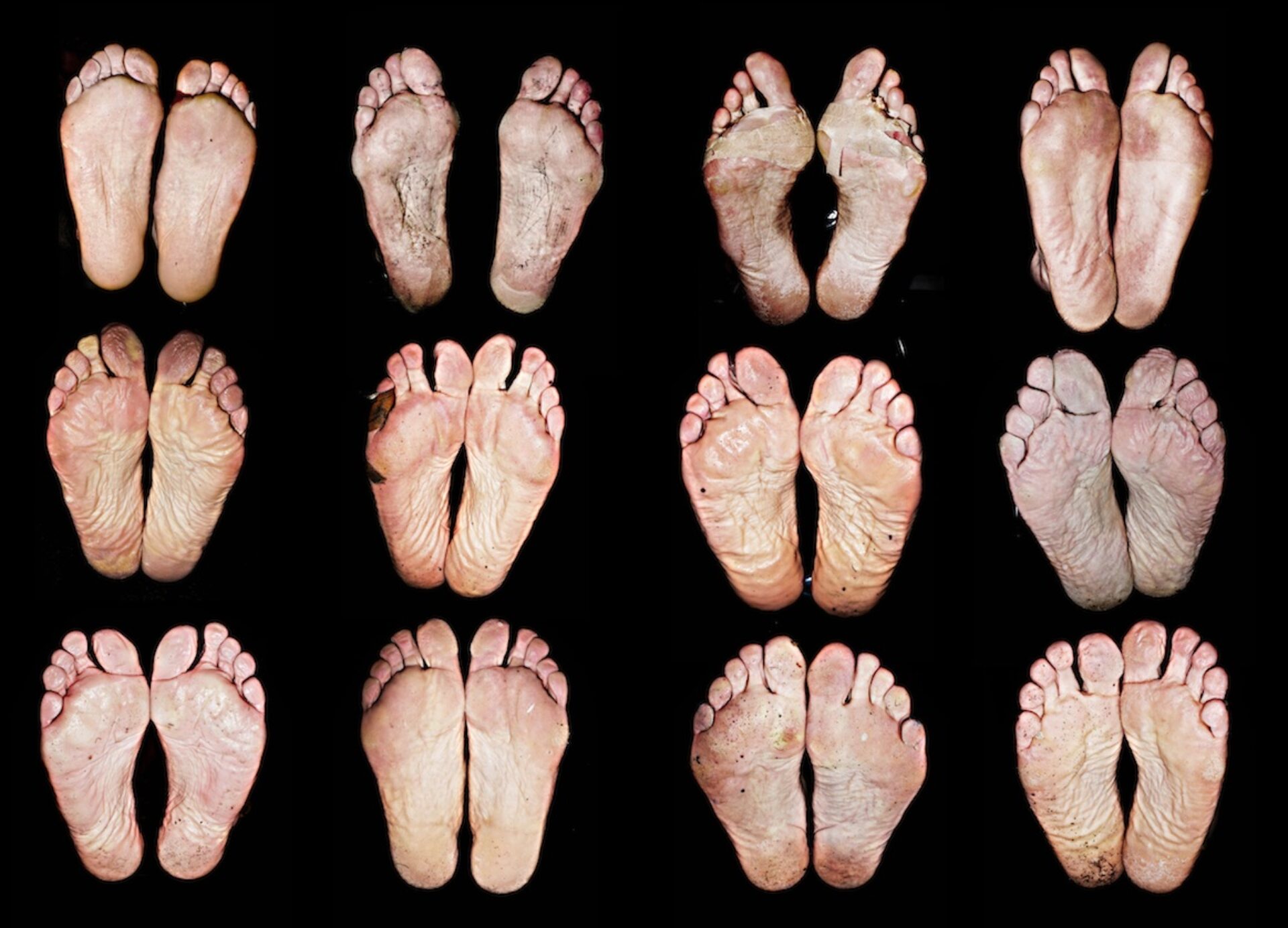 Pain (I), photographie de Espen Rasmussen