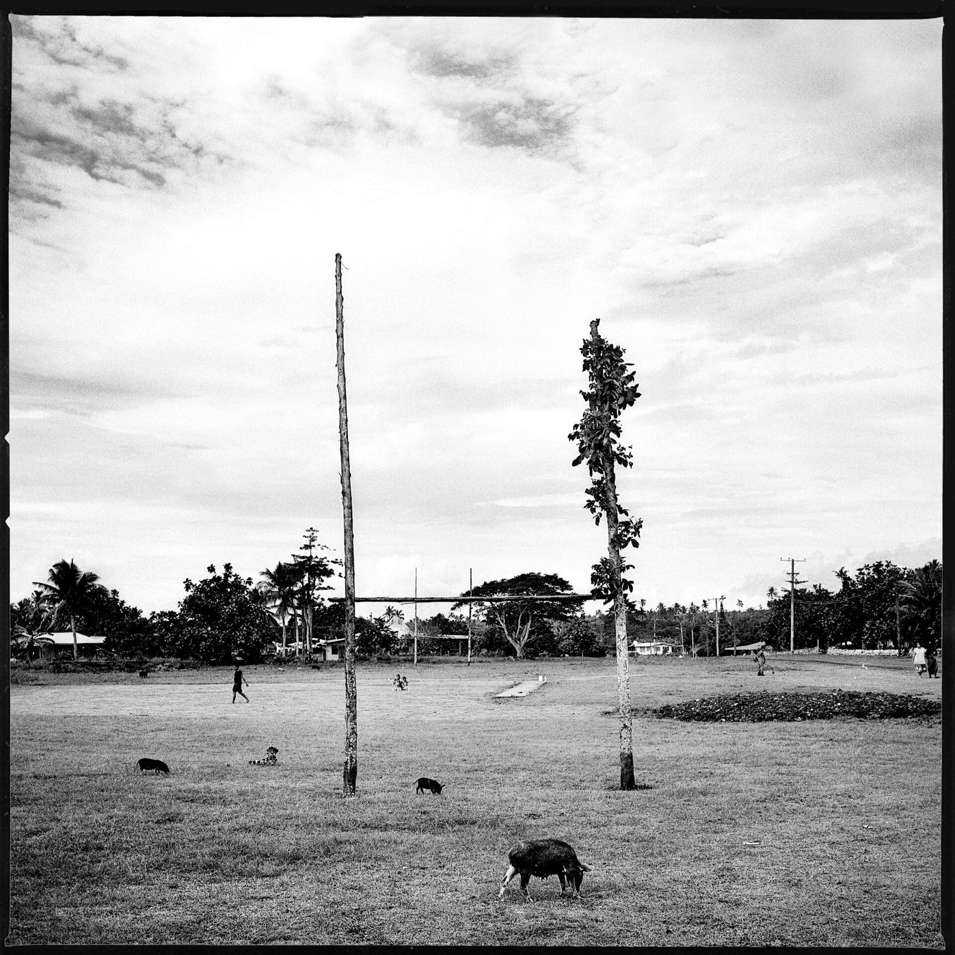 Samoa, photographie de Michel Birot