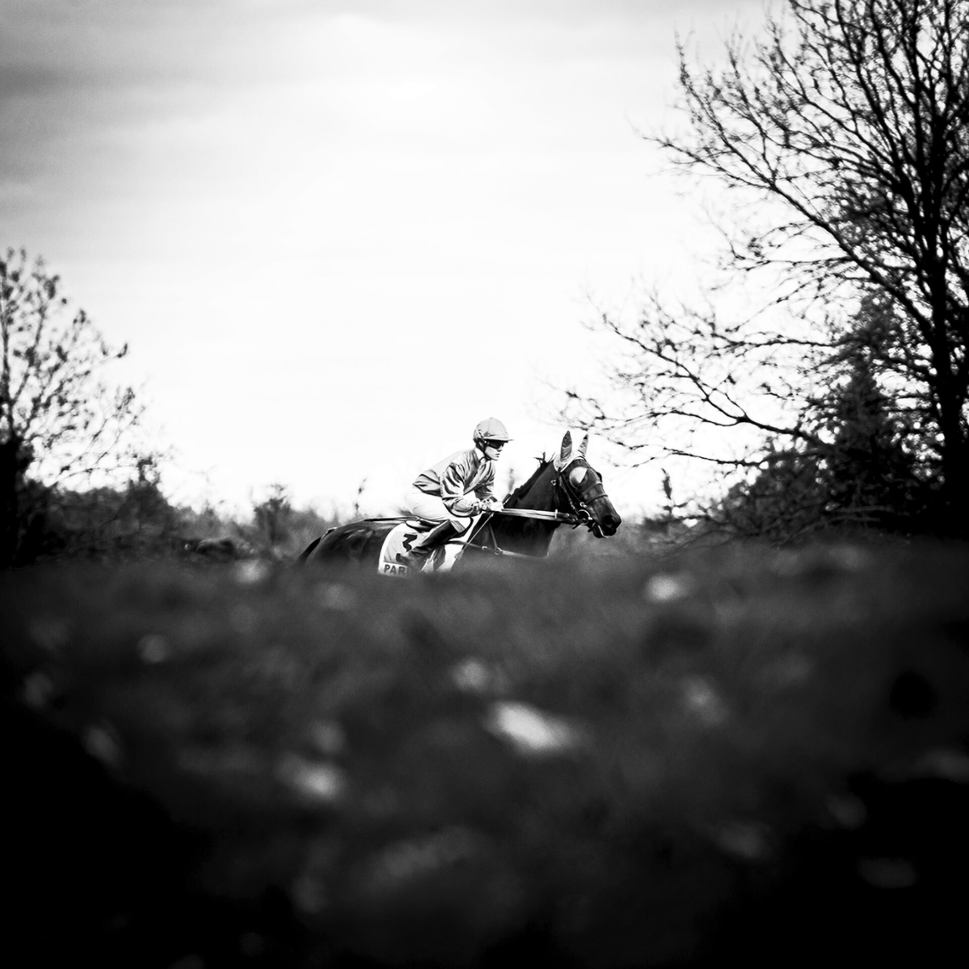 Tracks X, photographie de Bruno Charoy