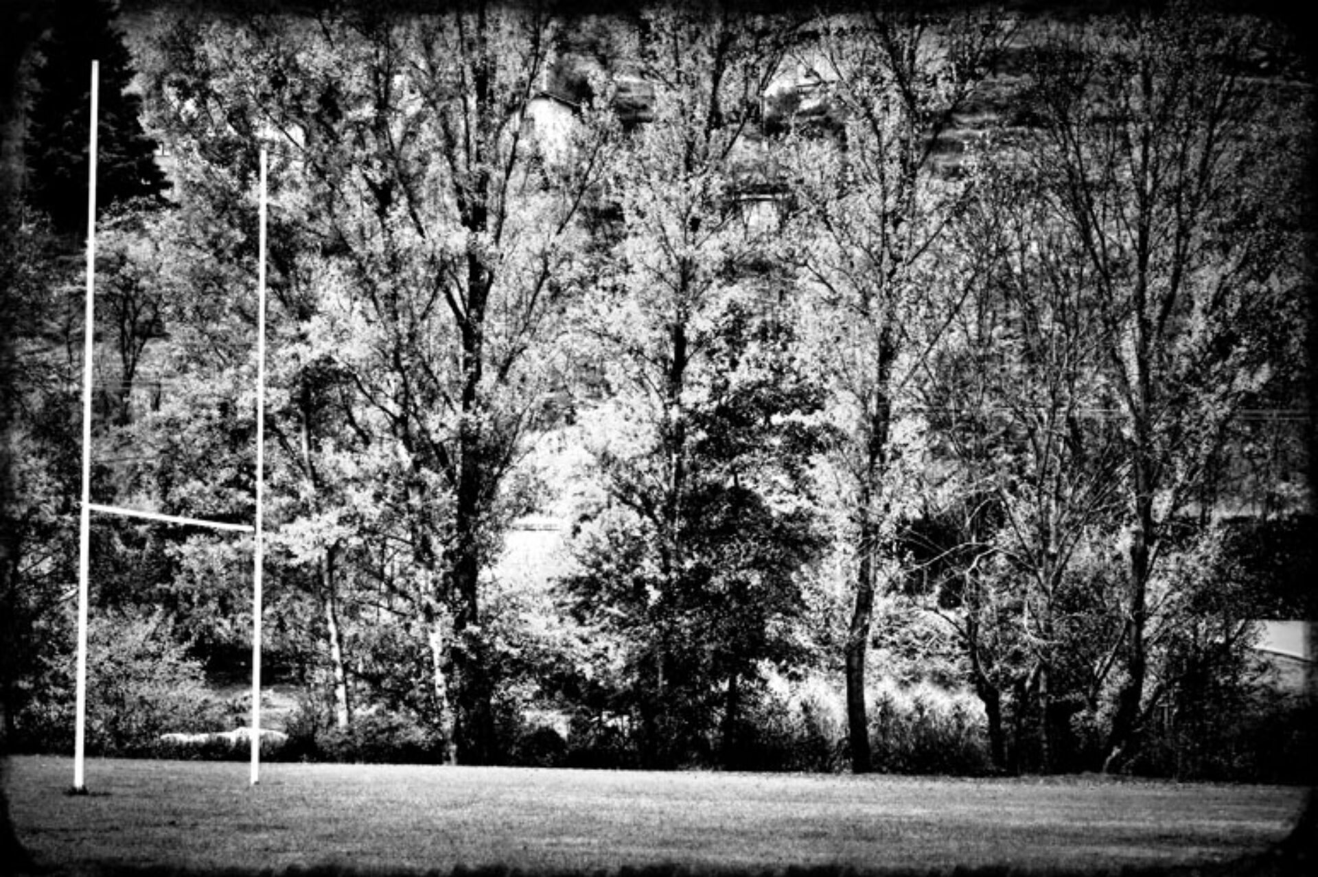 Jardin d’Eden II, photographie de Isabelle Picarel