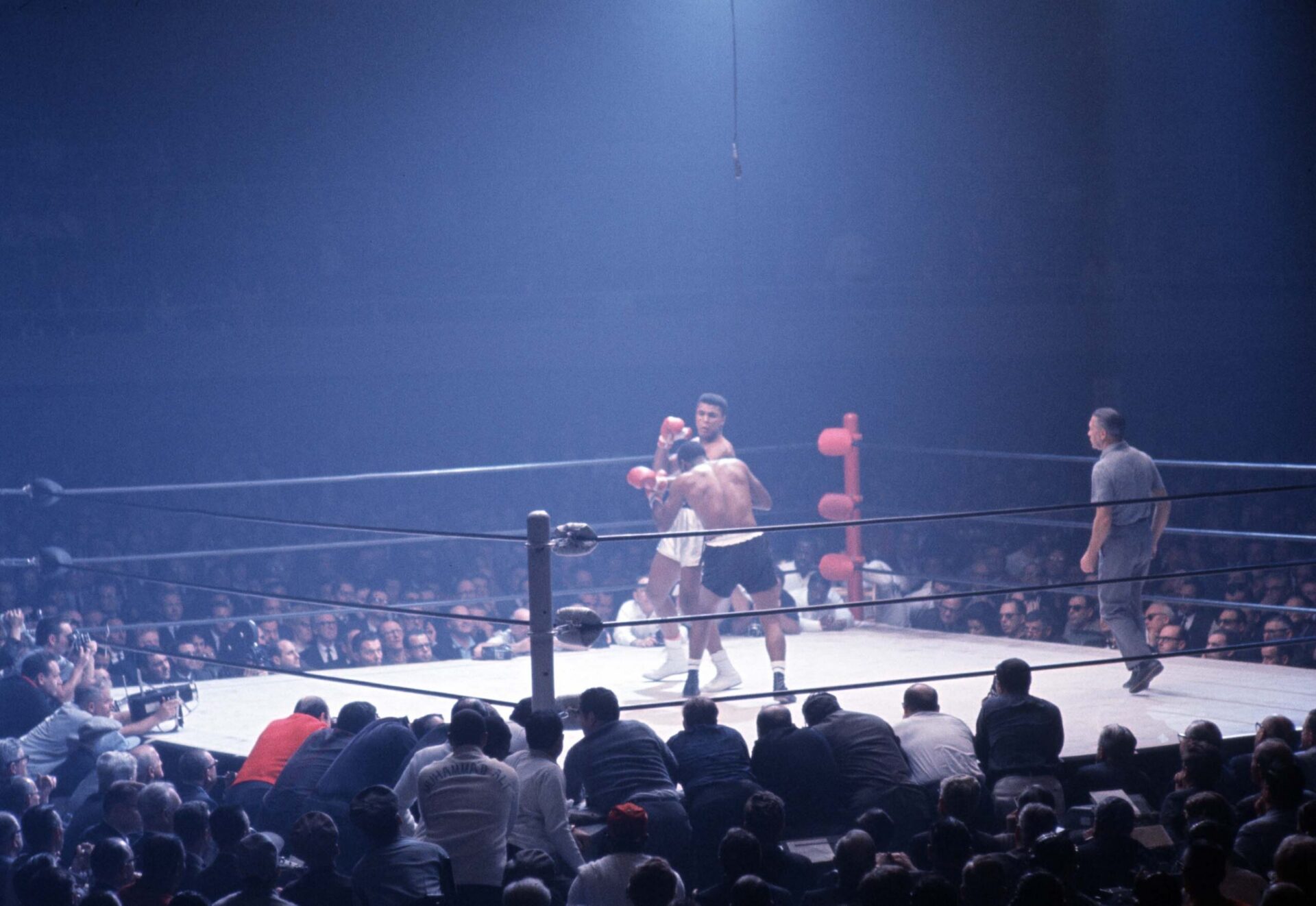Ali-Patterson I, photographie de Gerry Cranham