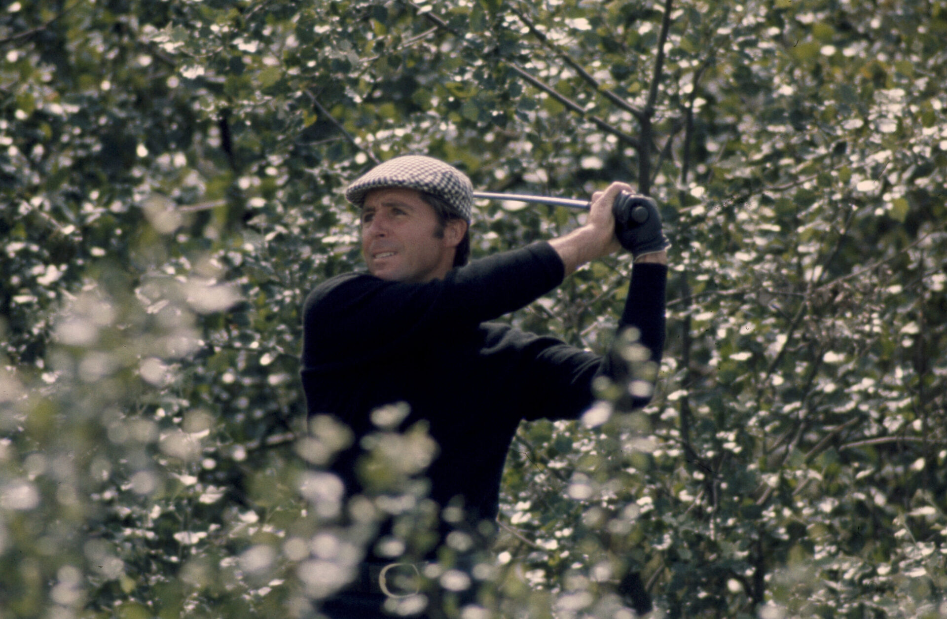 Player, photographie de Gerry Cranham
