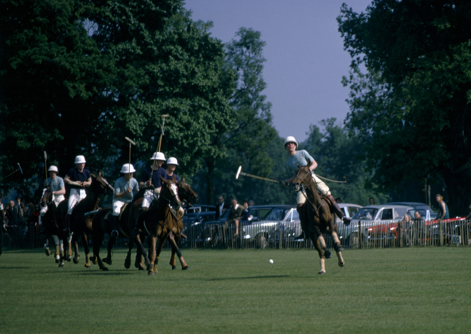 Prince du Polo, photographie de Gerry Cranham
