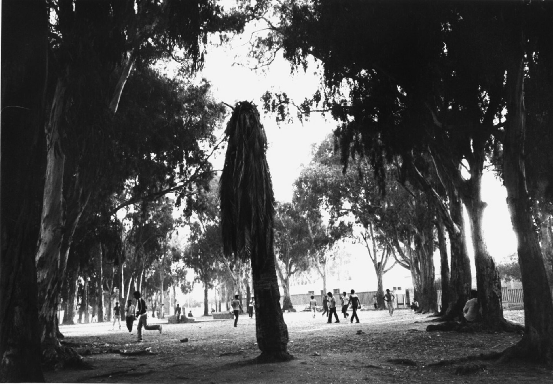 Le stade, photographie de Martine Voyeux