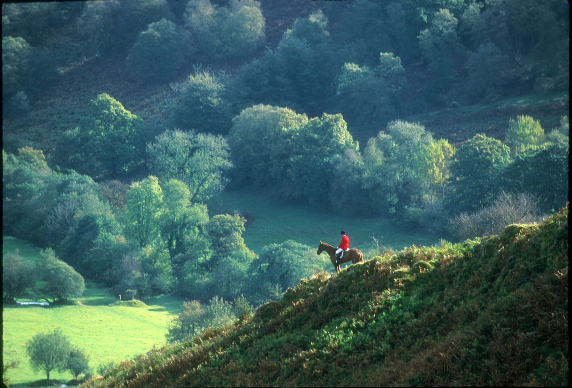 Le dernier chasseur, photographie de Ian Bradshaw