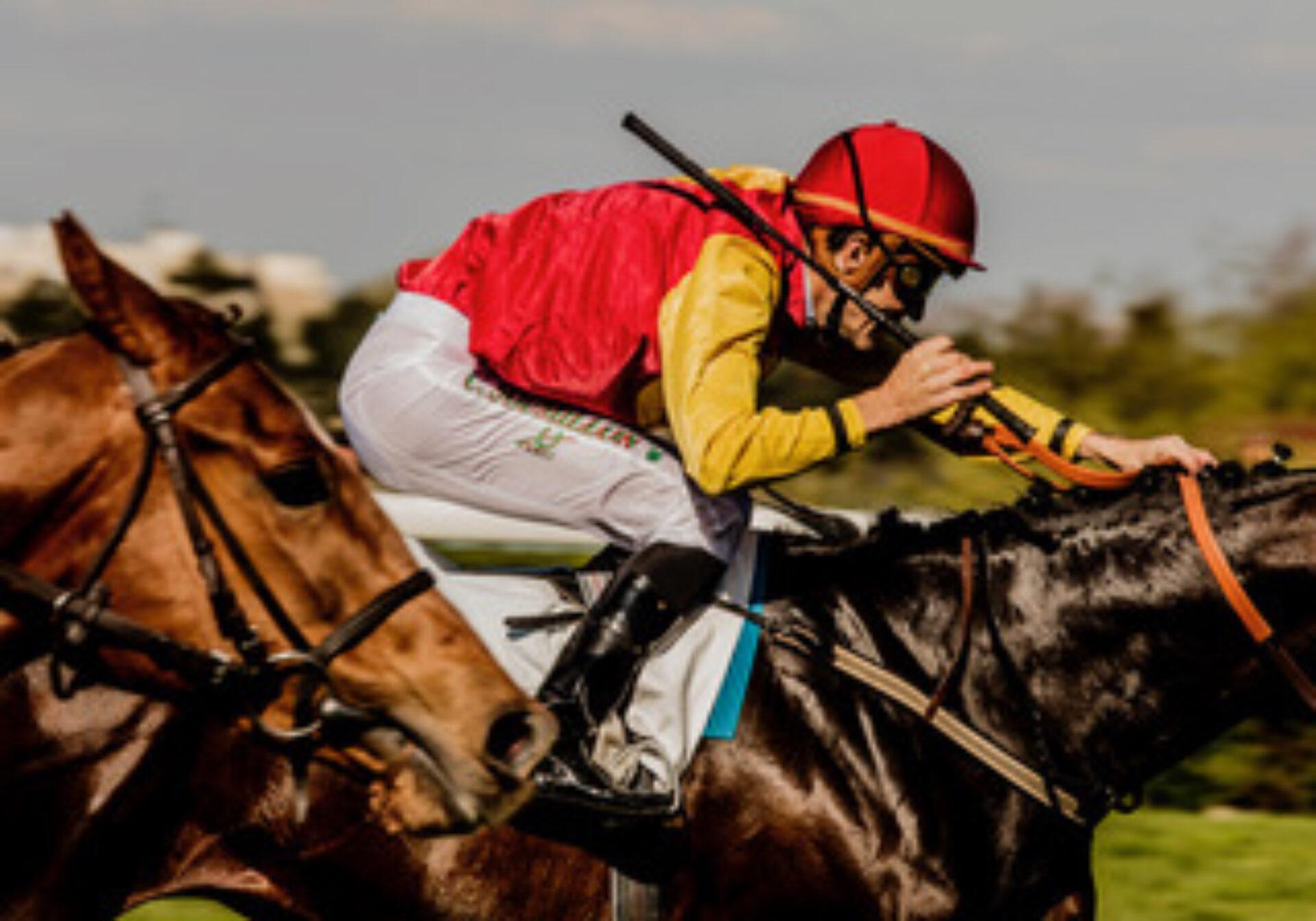 Christophe Soumillon, photographie de François Darmigny