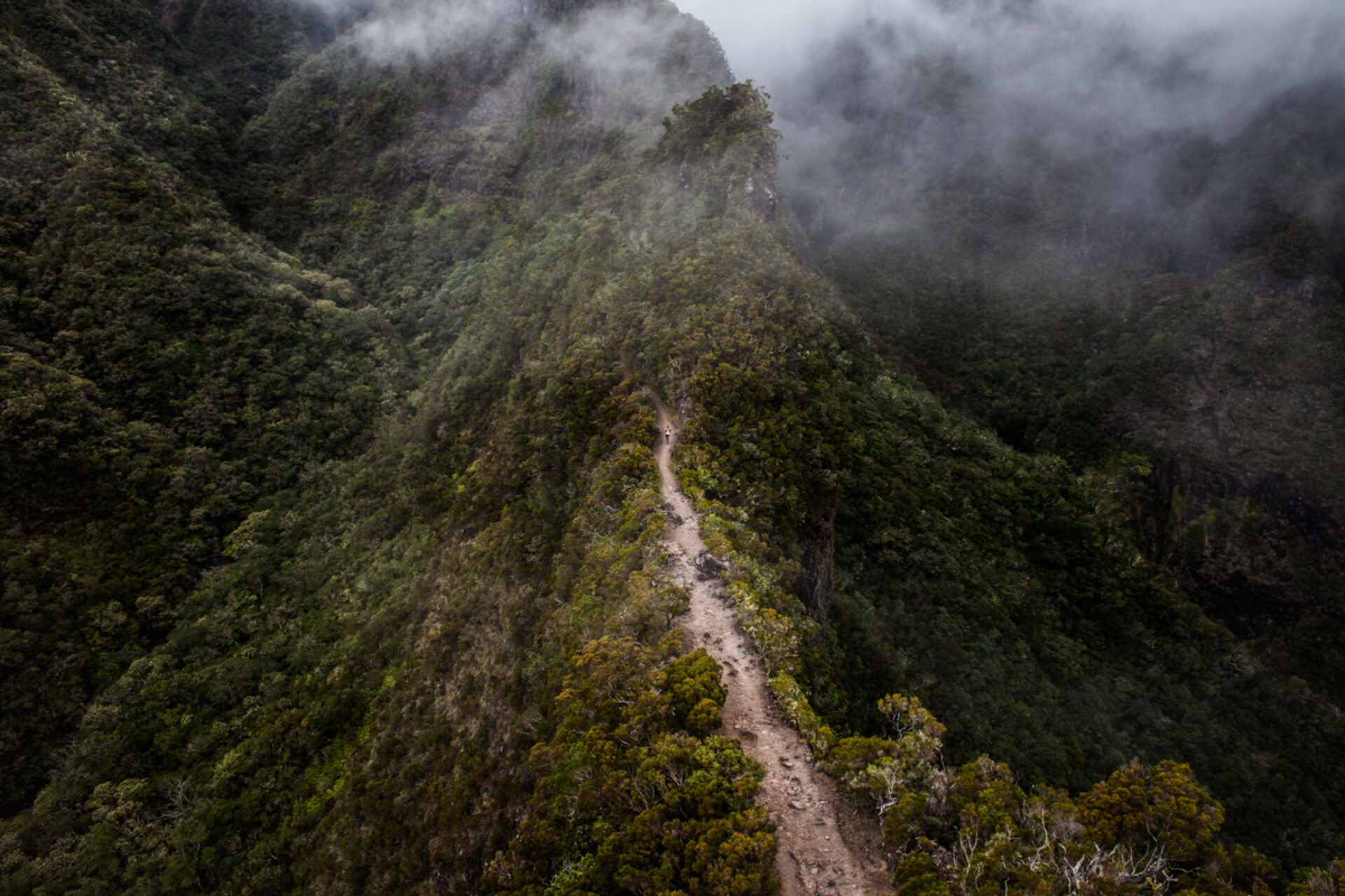 Diagonale des fous, photographie de Alexis Berg