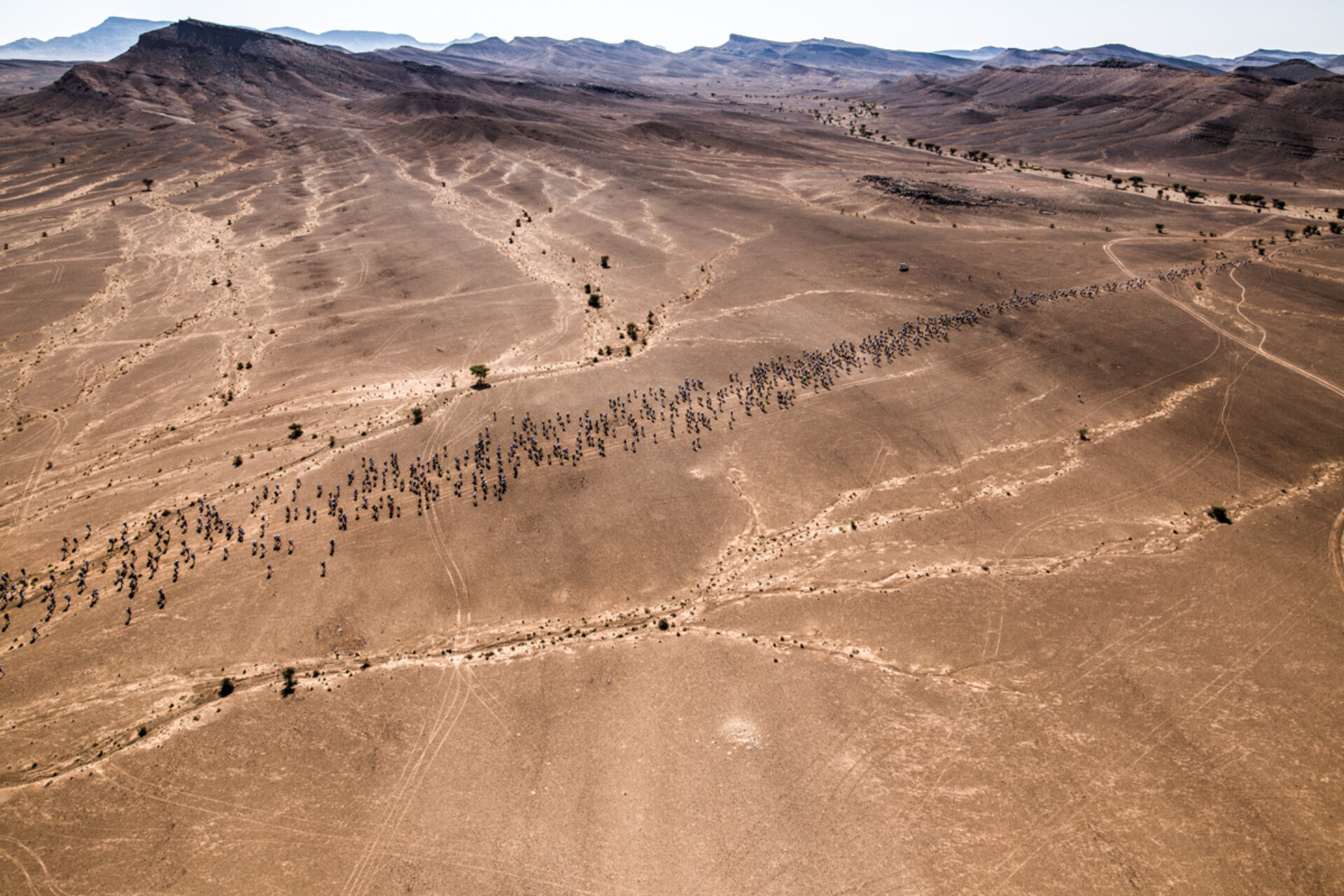 Marathon des sables, photographie de Alexis Berg