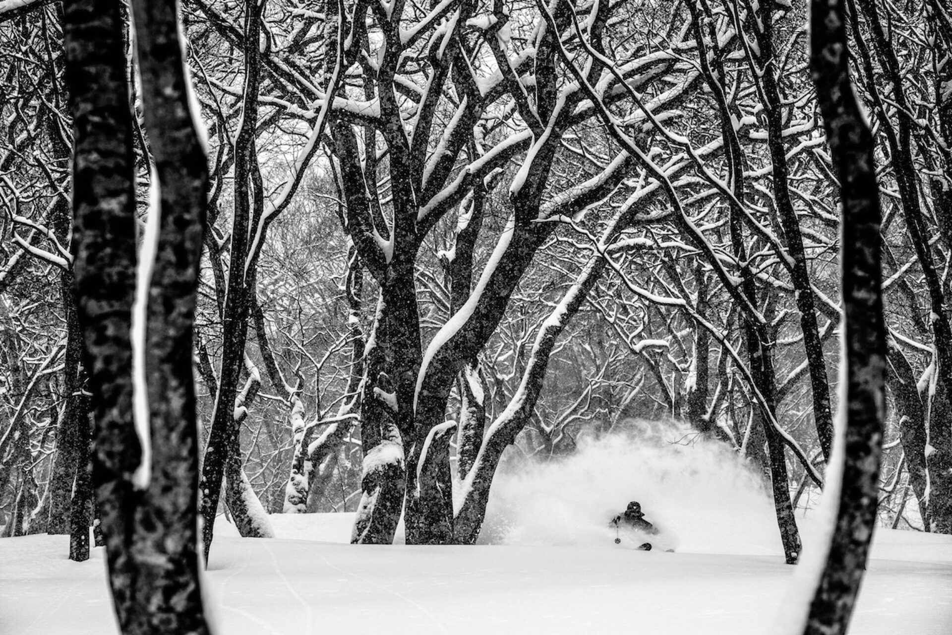 Myoko, photographie de Jérémy Bernard