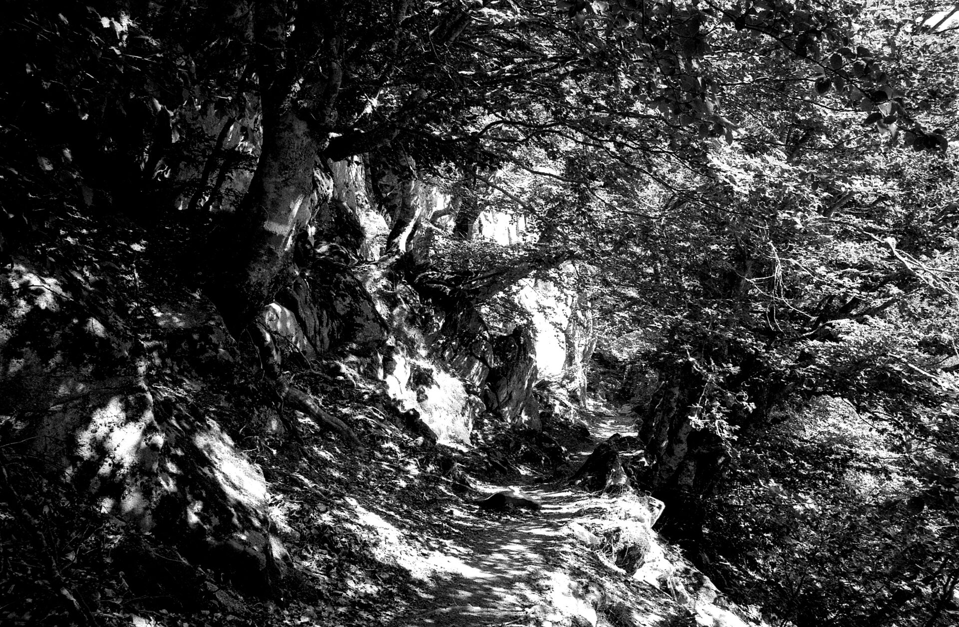 Bocca di aparo, photographie de Sophie Mabille