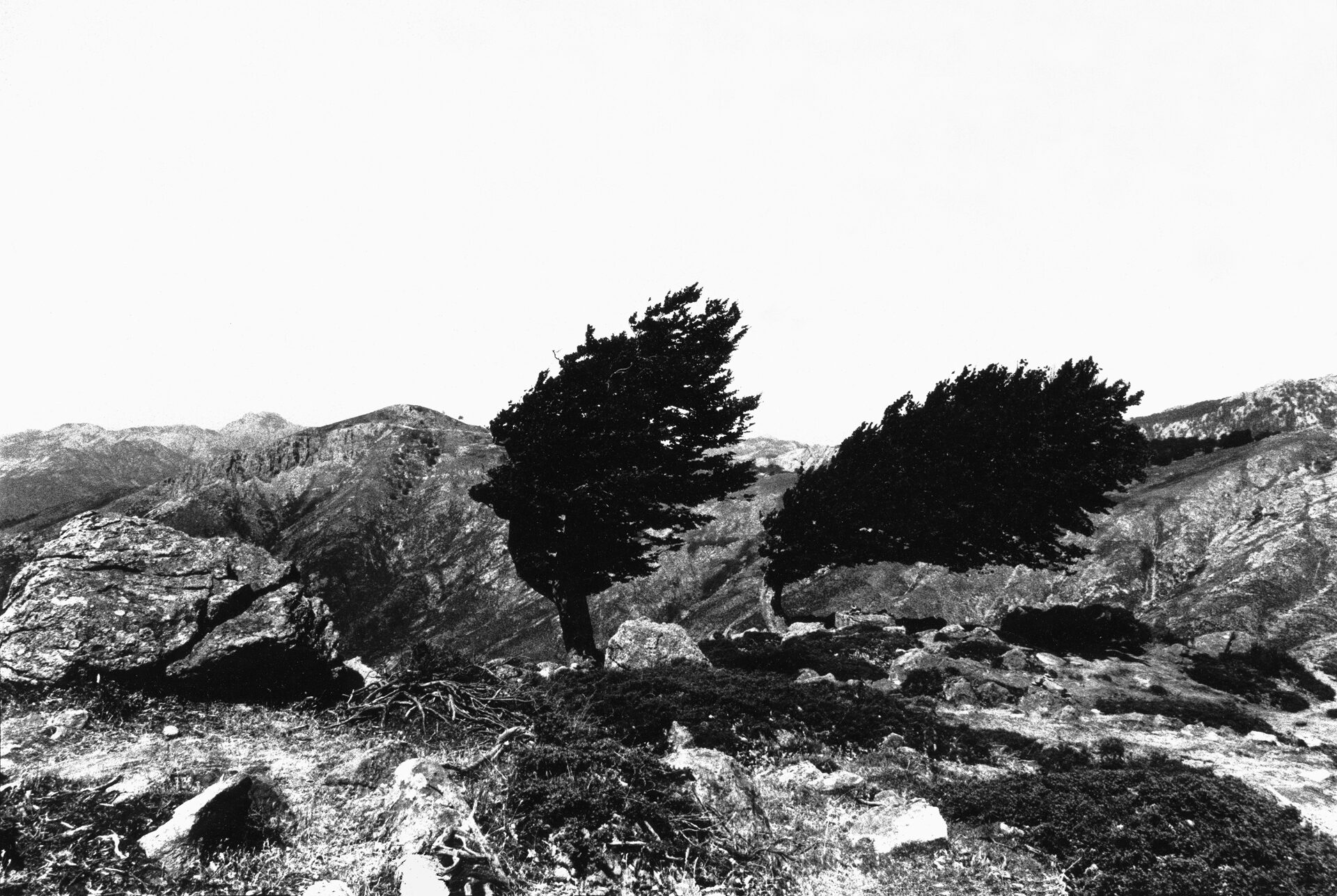 Col de San Petru, photographie de Sophie Mabille