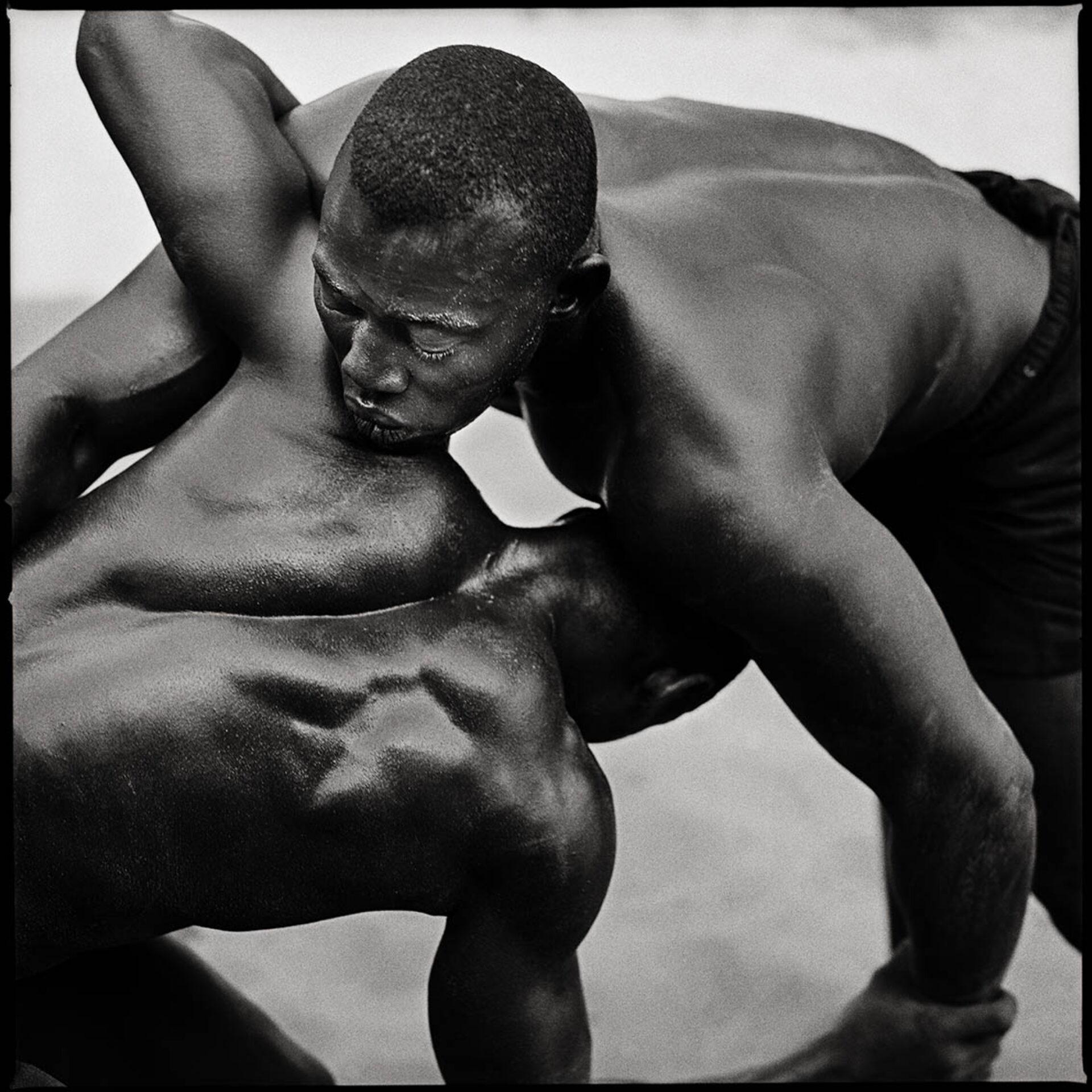 LAMB I, photographie de Laurent Gudin