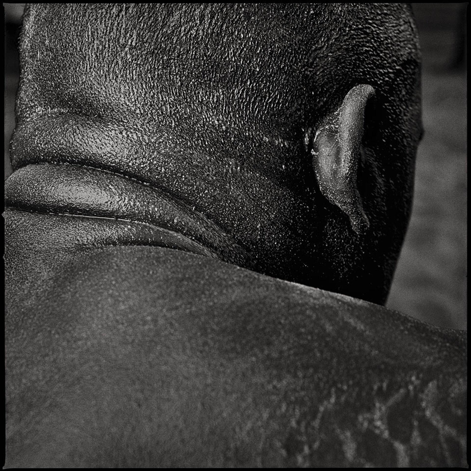 Pape Ndiaye, photographie de Laurent Gudin
