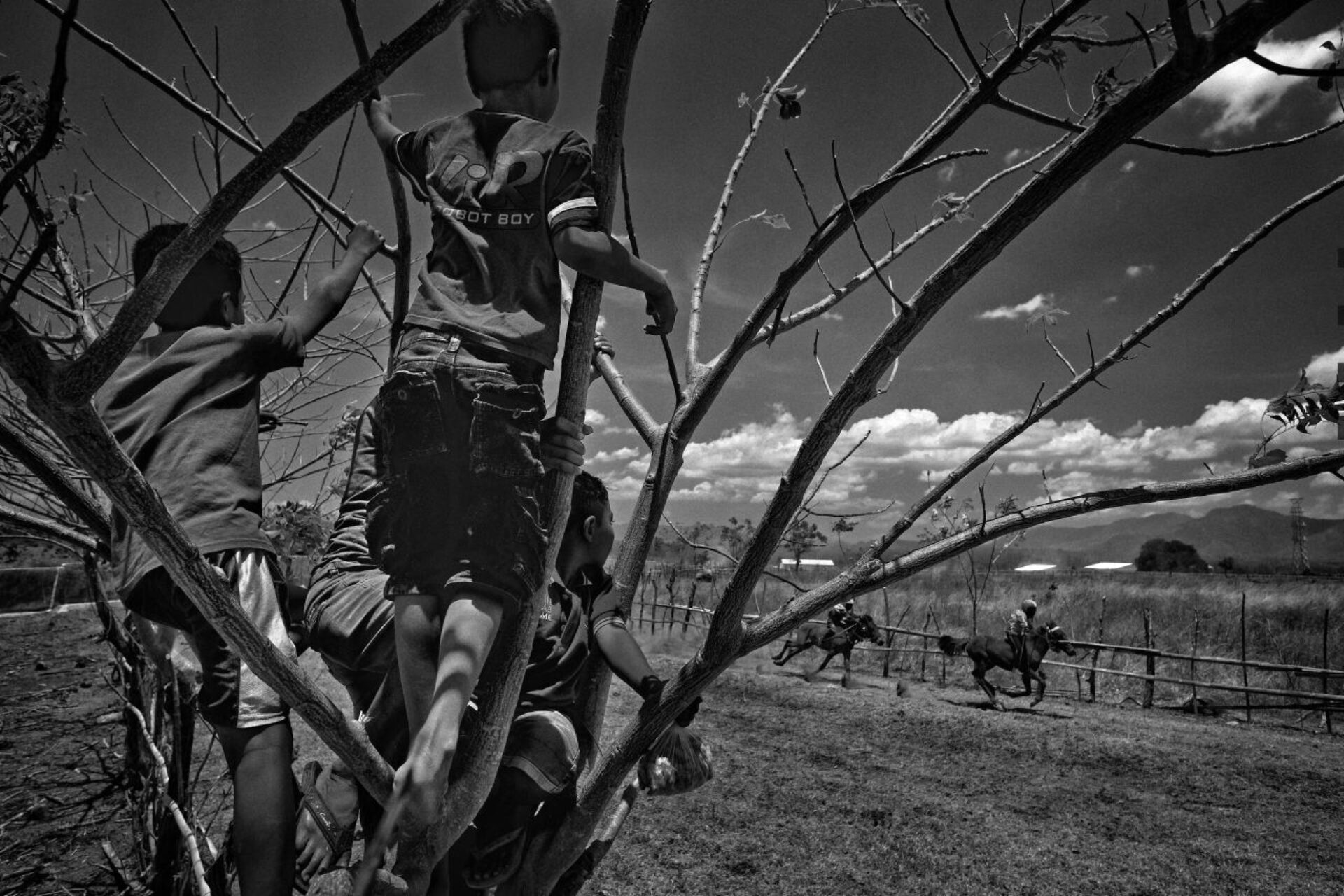 Kid jockeys 5, photographie de Alain Schroeder