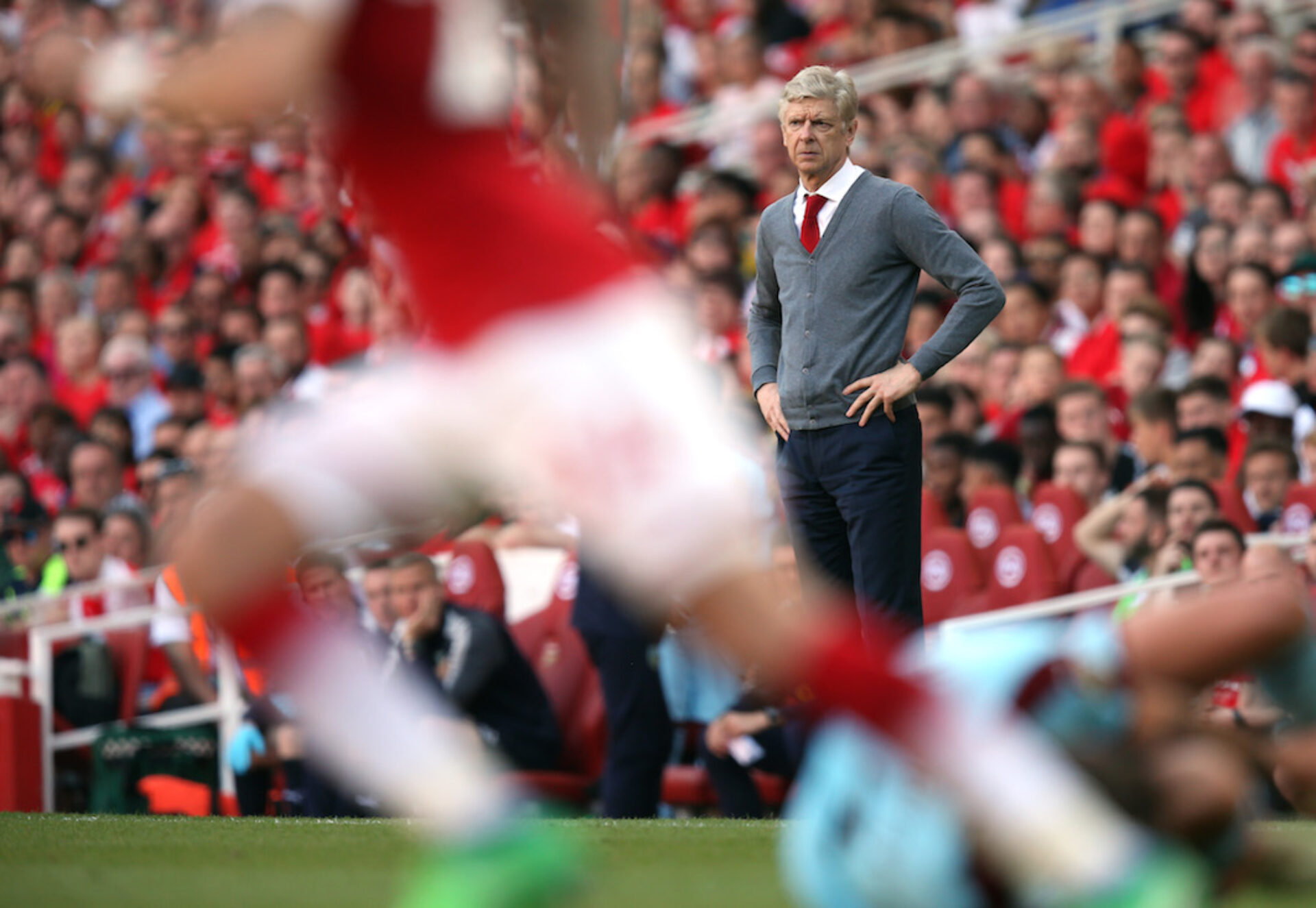 Merci Arsène, photographie de Mark Leech
