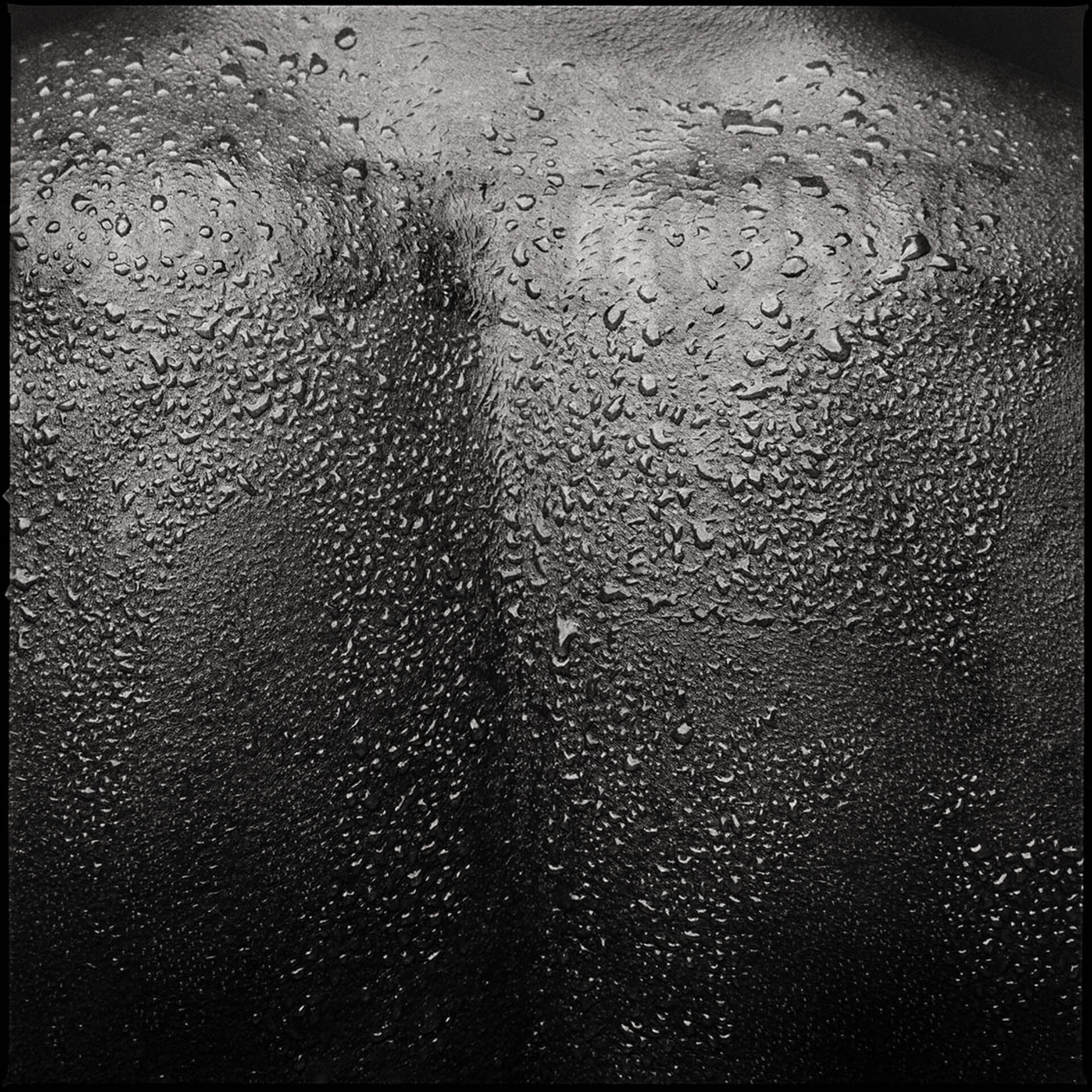 Back, photographie de Laurent Gudin