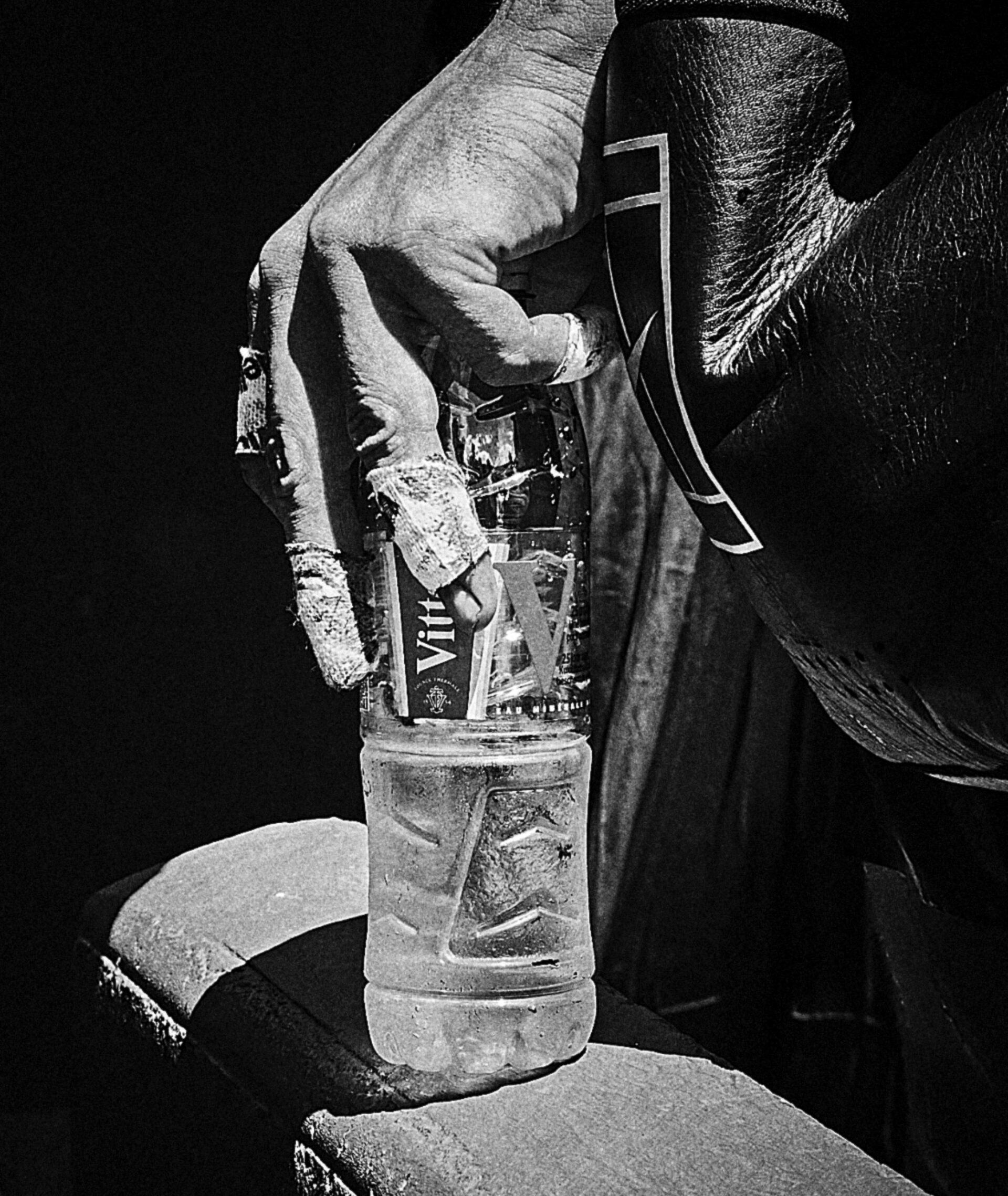 Roland XVII, photographie de Marcel Hartmann