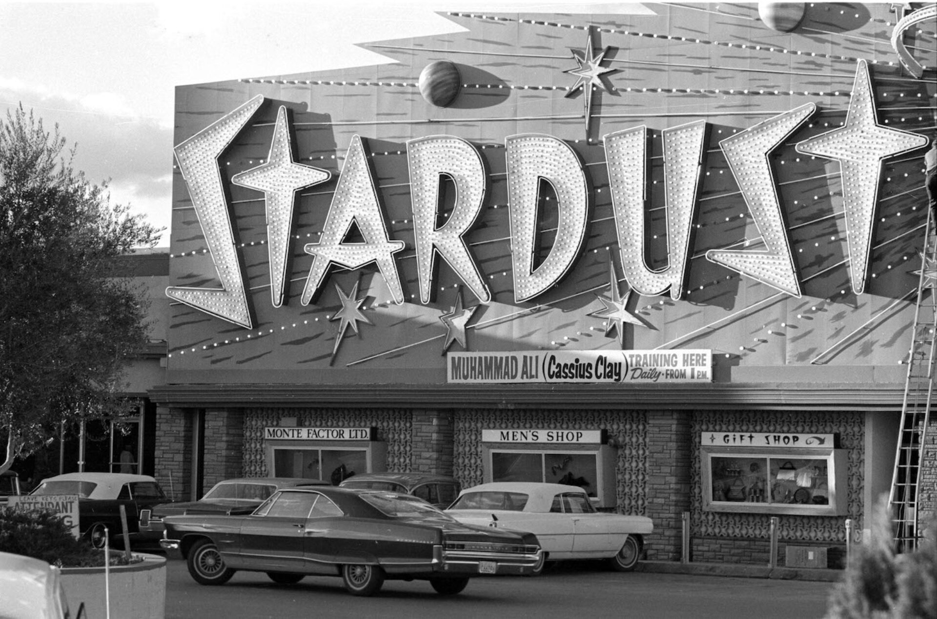Stardust 2, photographie de Gerry Cranham