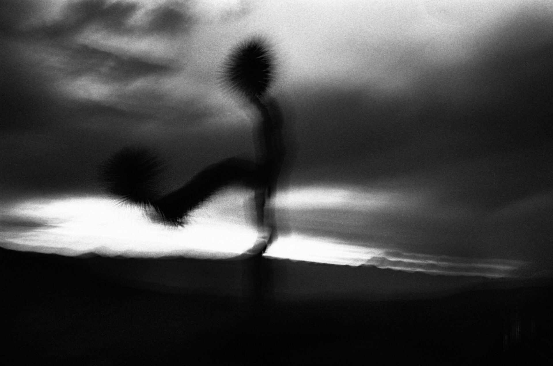 Joshua, photographie de Simone Perolari