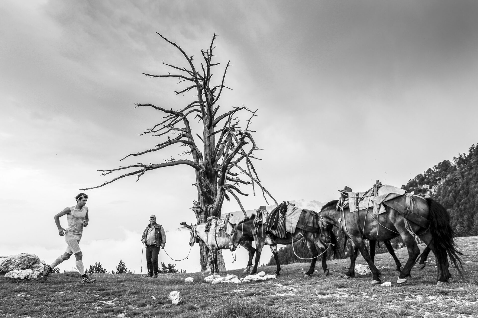 Kilian 1, photographie de Monica Dalmasso