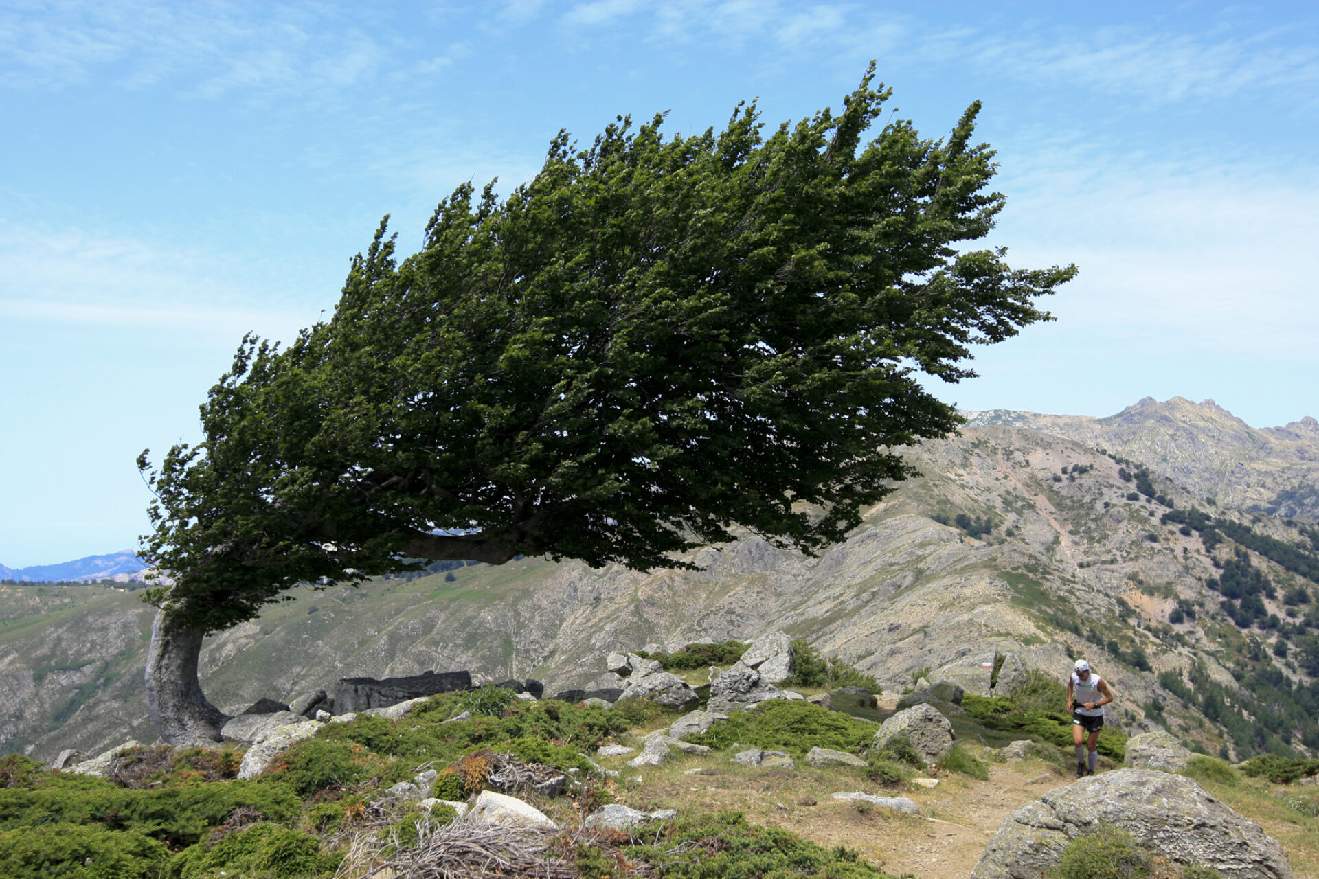 Kilian 2, photographie de Monica Dalmasso