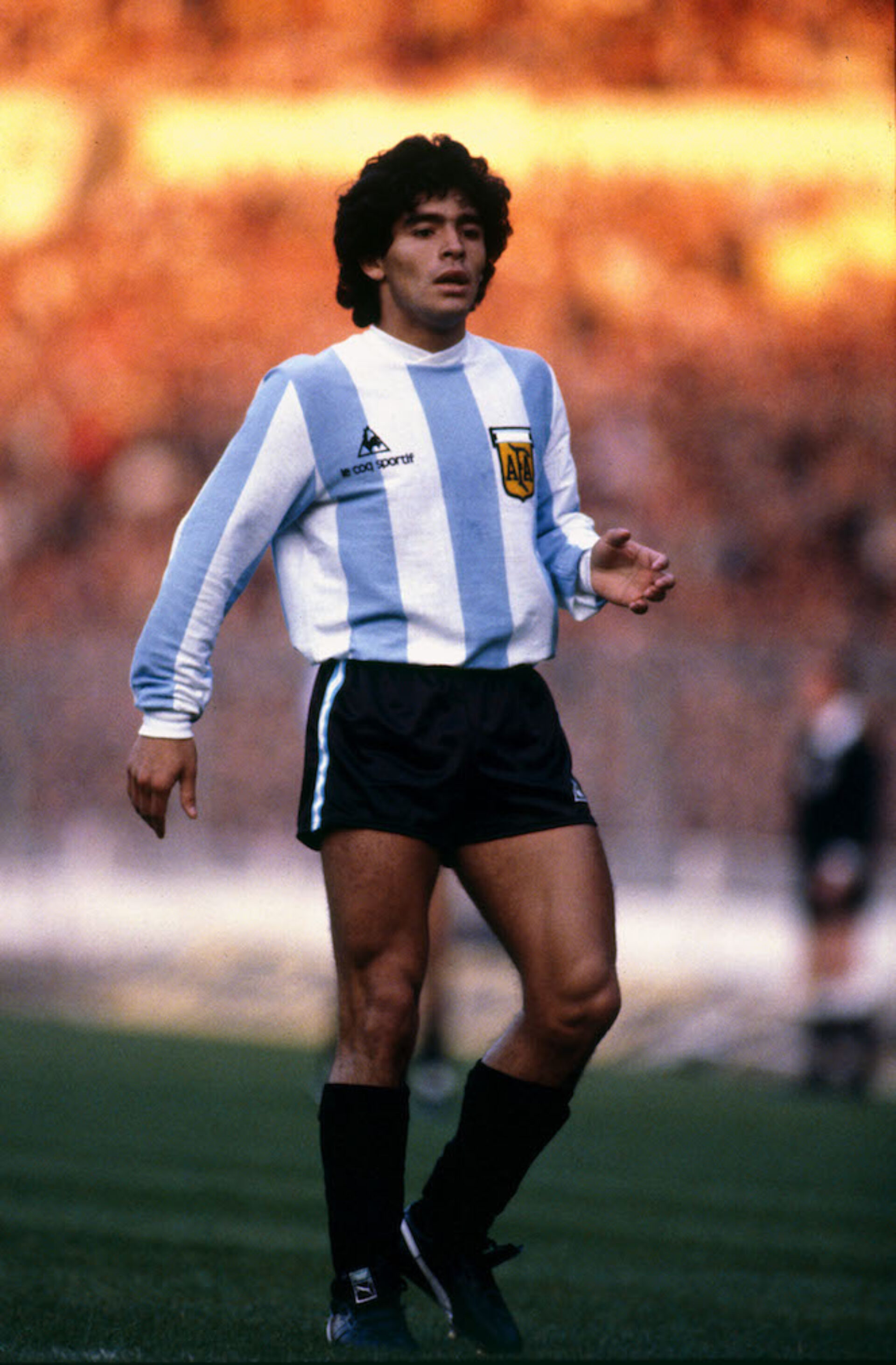 Diego, photographie de Mark Leech