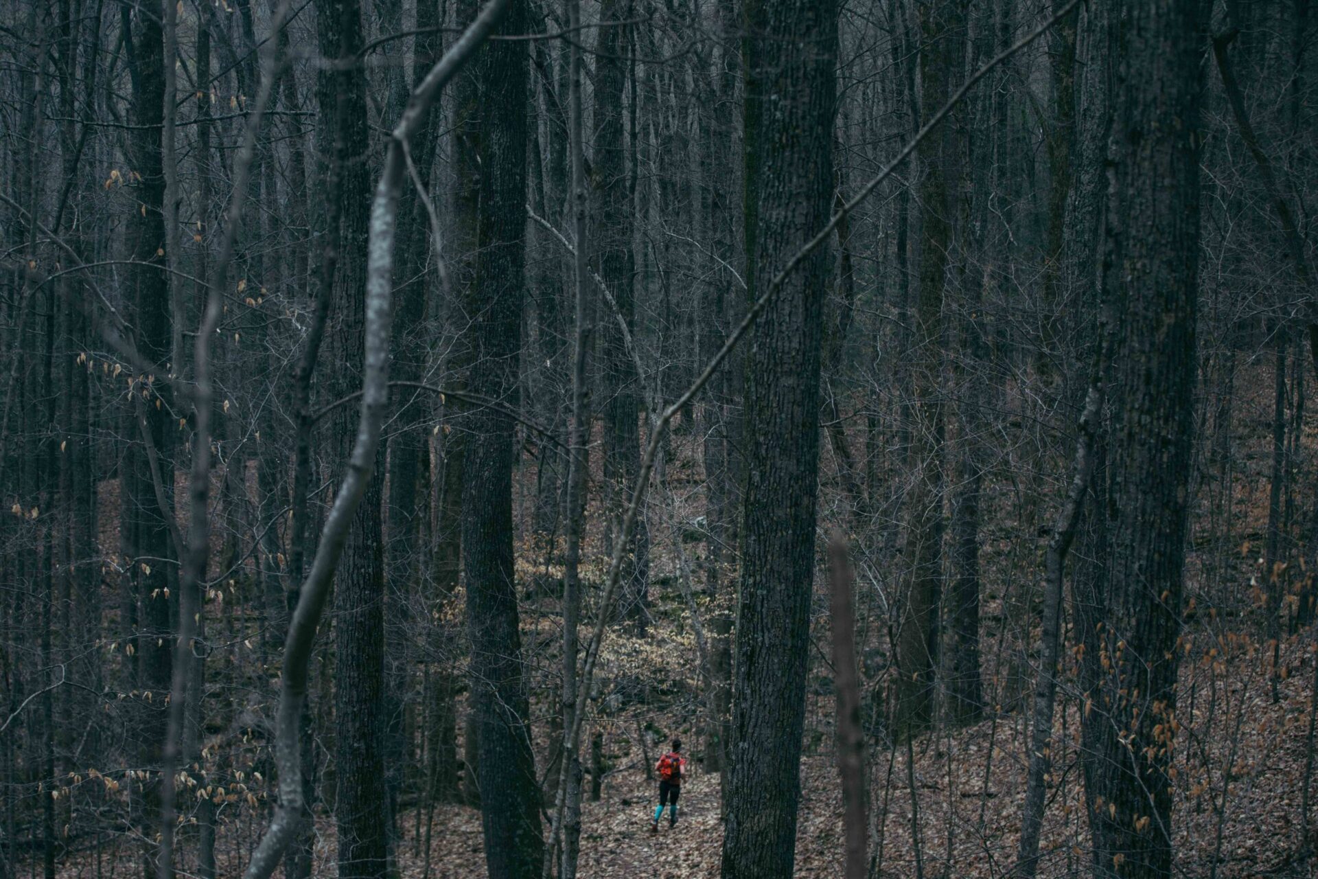 Barkley (11), photographie de Alexis Berg