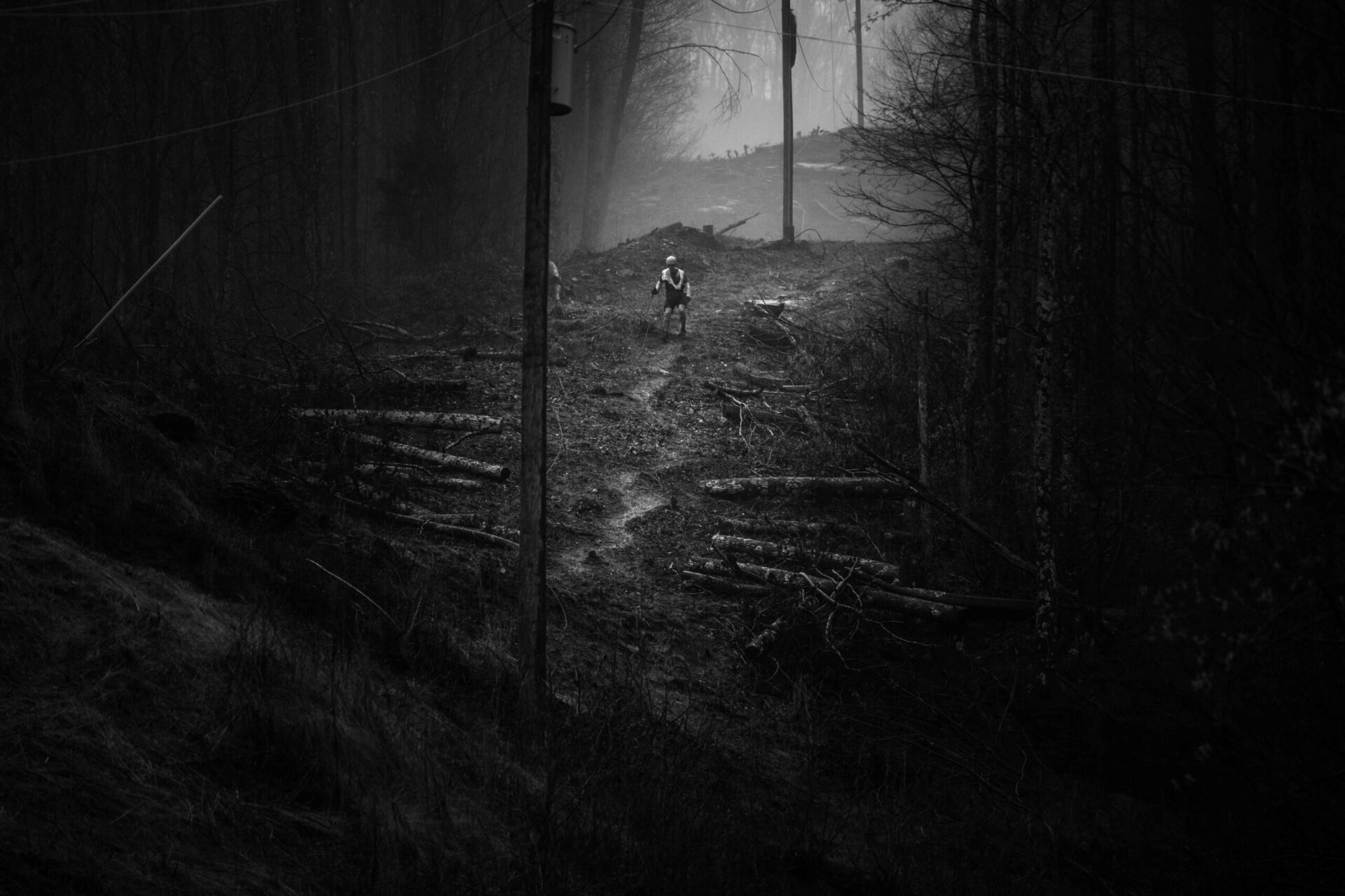 Barkley (5), photographie de Alexis Berg
