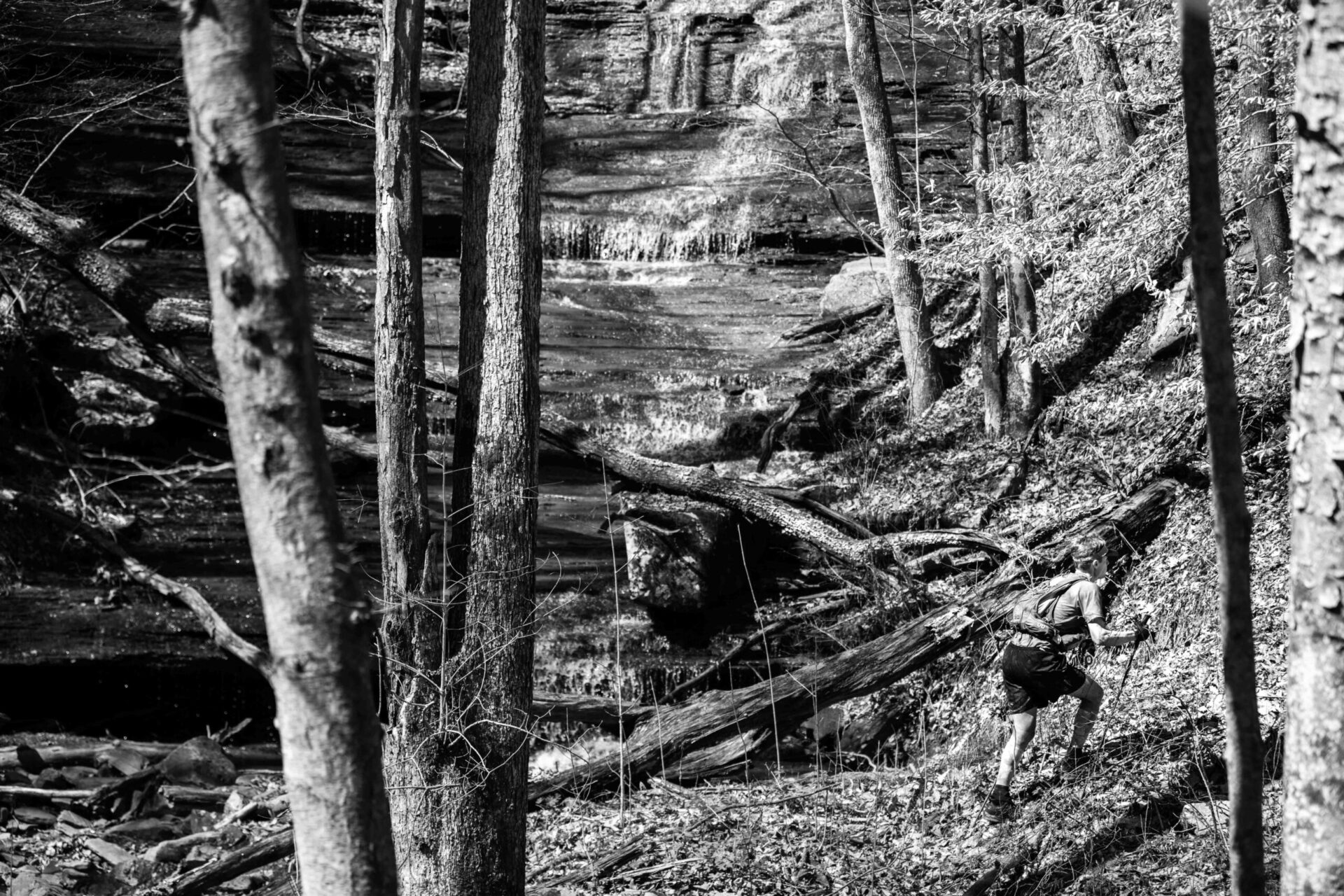 Barkley (7), photographie de Alexis Berg
