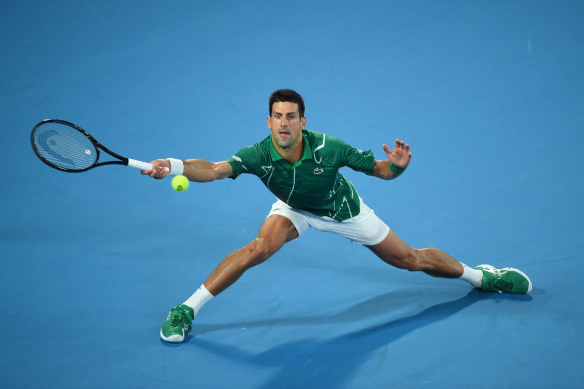 Novak (3), photographie de Corinne Dubreuil