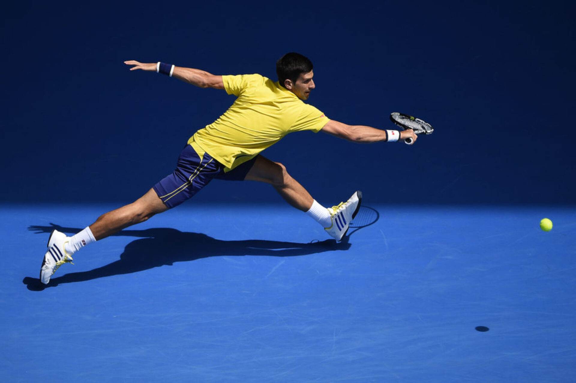 Novak (5), photographie de Corinne Dubreuil