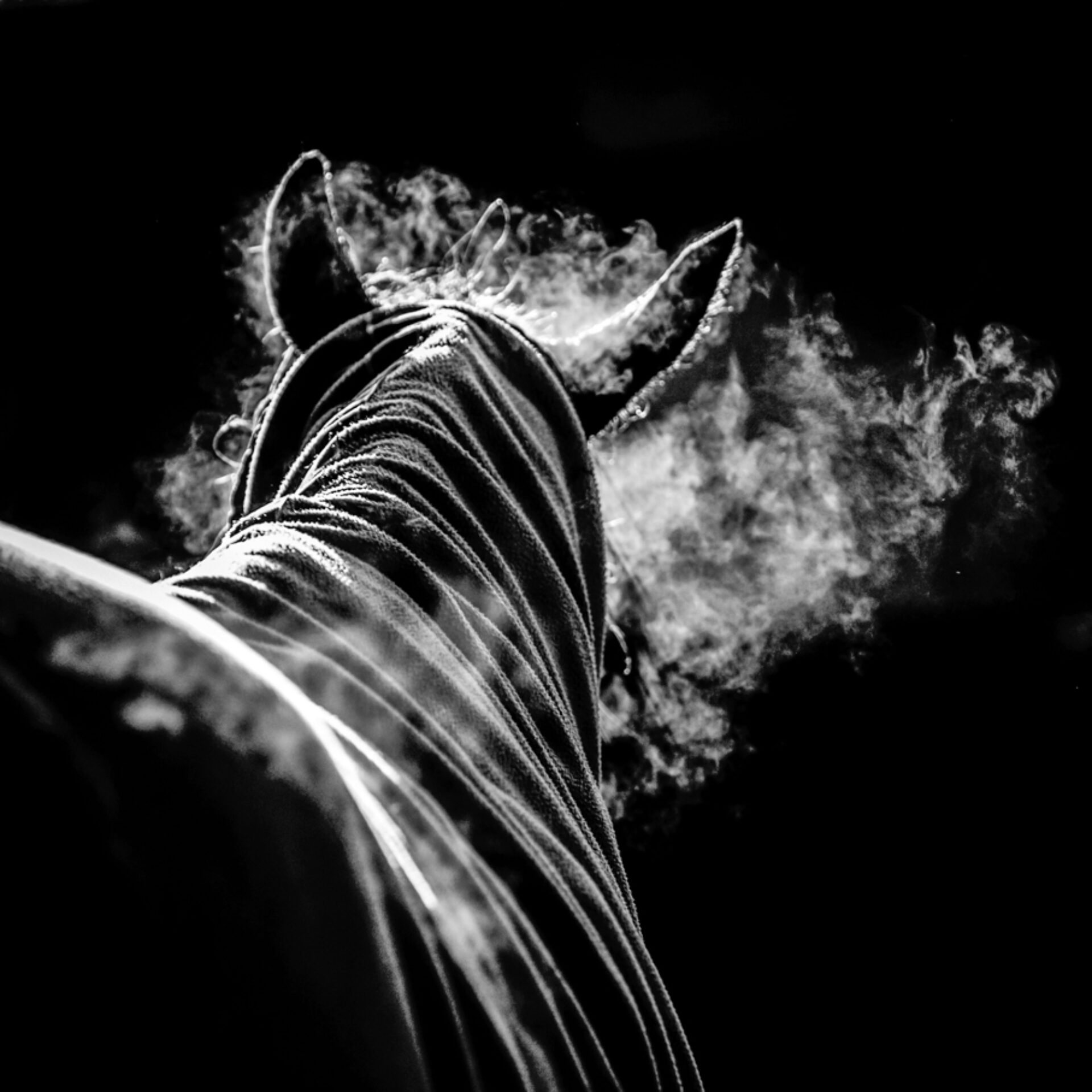 Tracks XI, photographie de Bruno Charoy