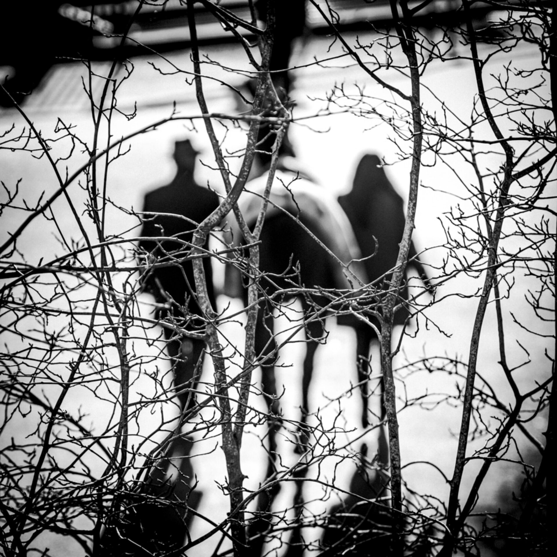Tracks XVI, photographie de Bruno Charoy