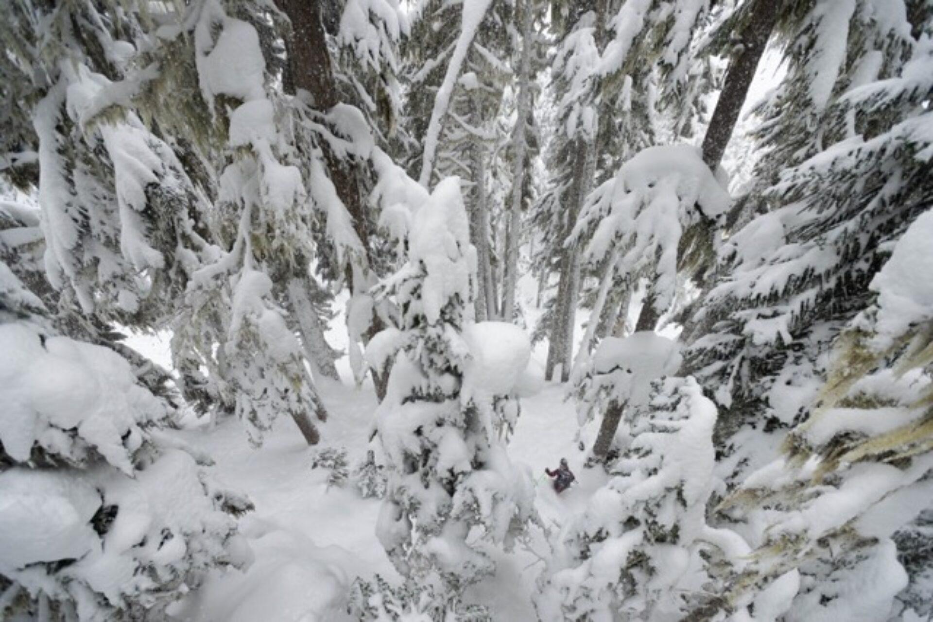 Whistler, photographie de Reuben Krabbe