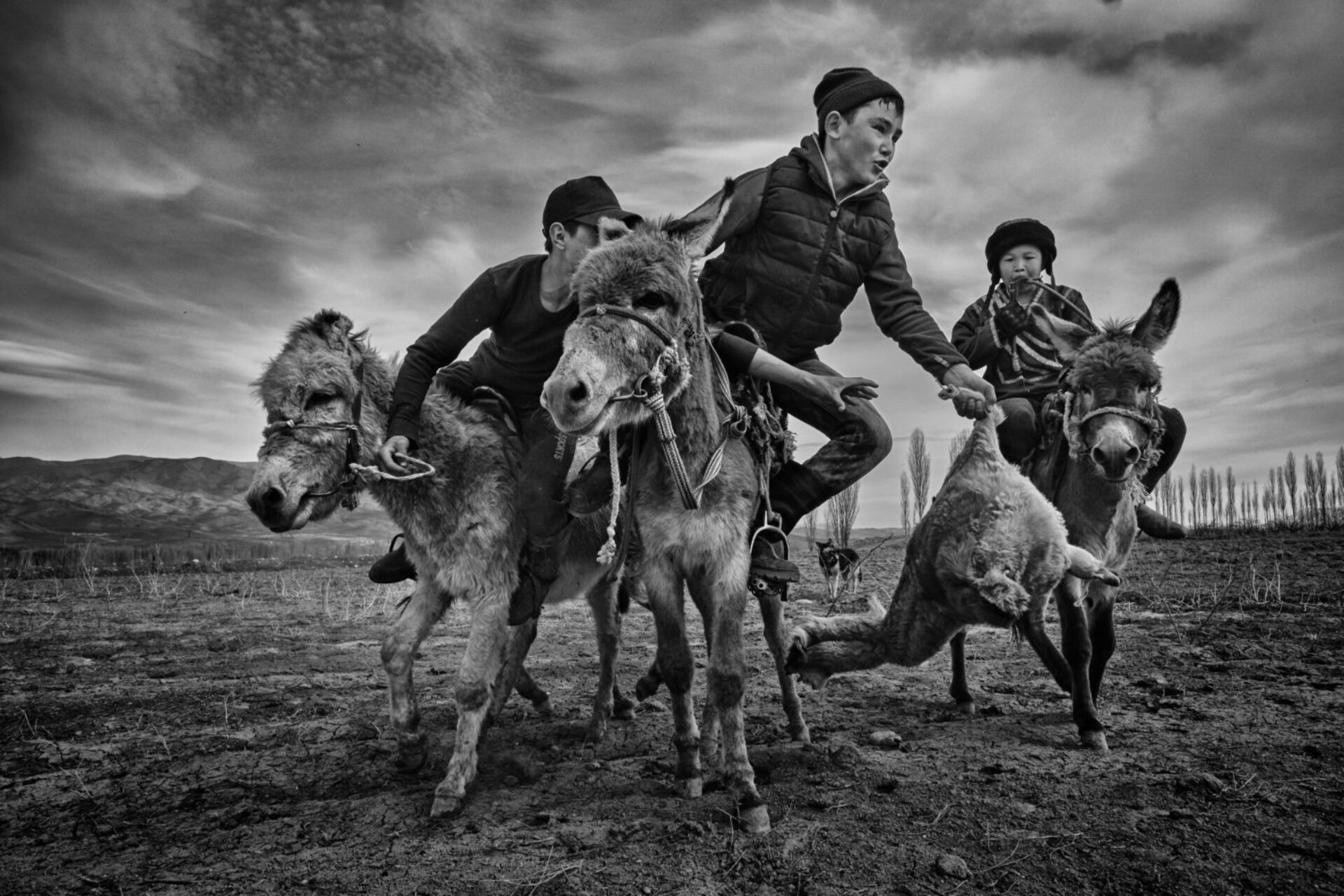Kok Boru (5), photographie de Alain Schroeder