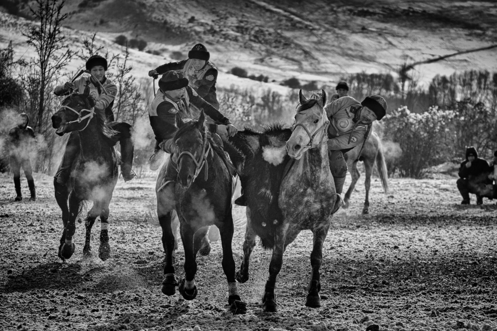 Kok Boru (9), photographie de Alain Schroeder