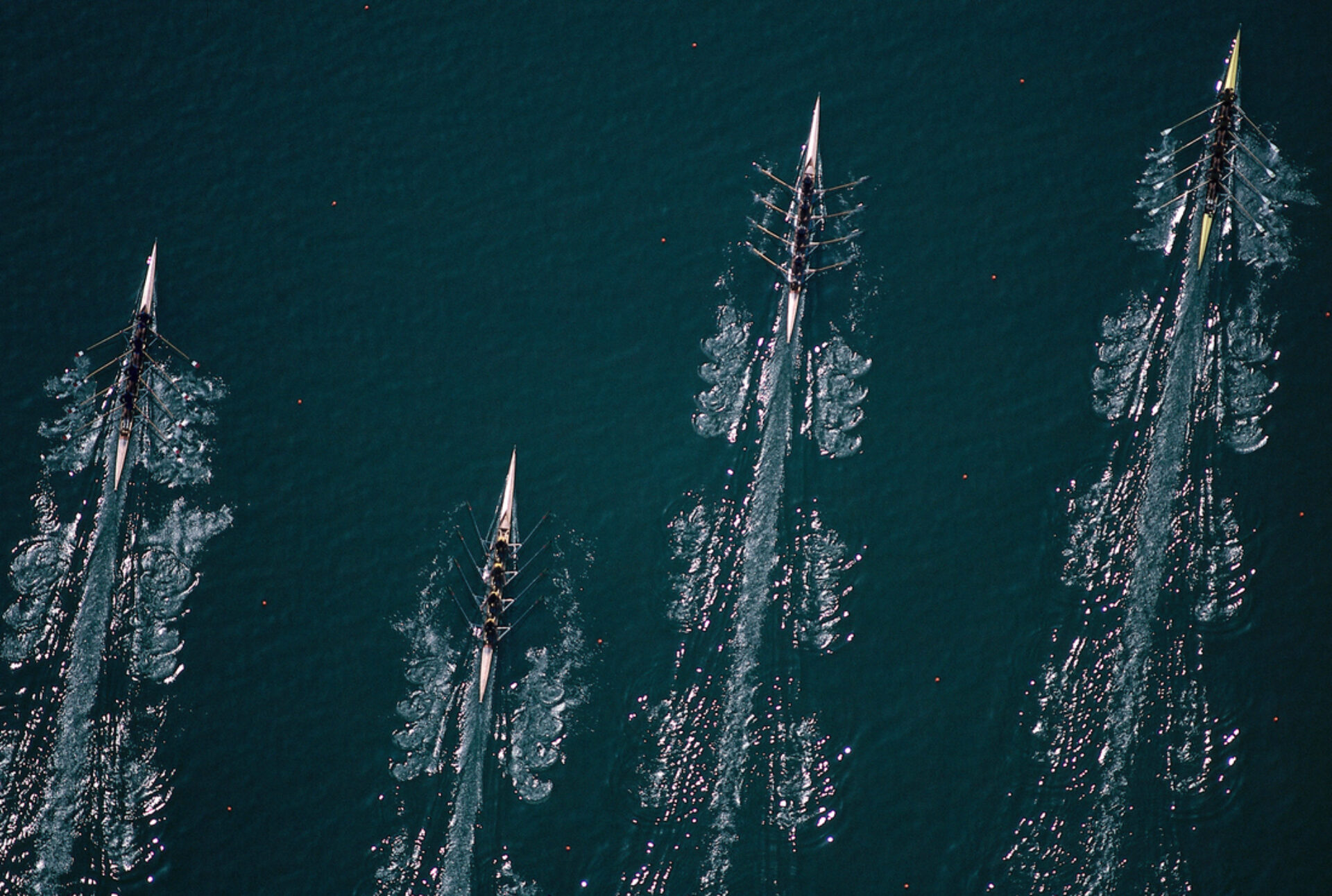 Four-Oared Shell Final, photographie de Neil Leifer