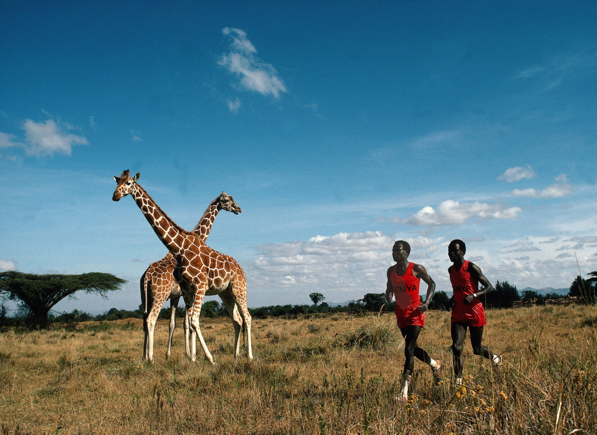 Kipkoech & Charles Cheruiyot, photographie de Neil Leifer