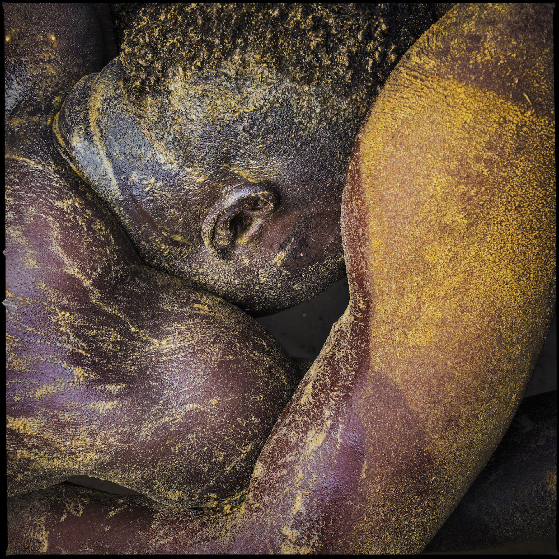 Lutte (1), photographie de Laurent Gudin