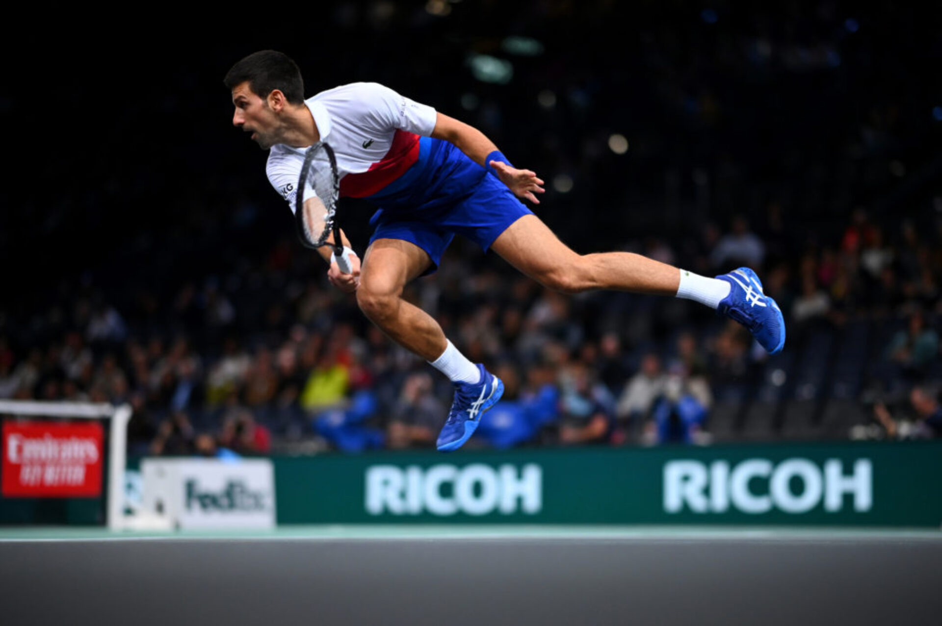 Novak (7), photographie de Corinne Dubreuil