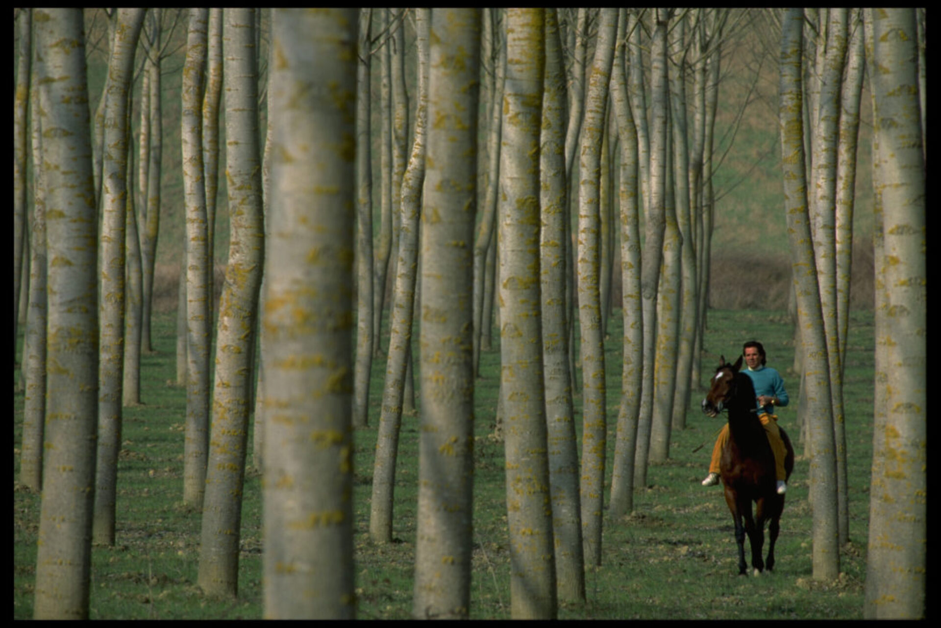 Palio (14), photographie de Gianni Giansanti