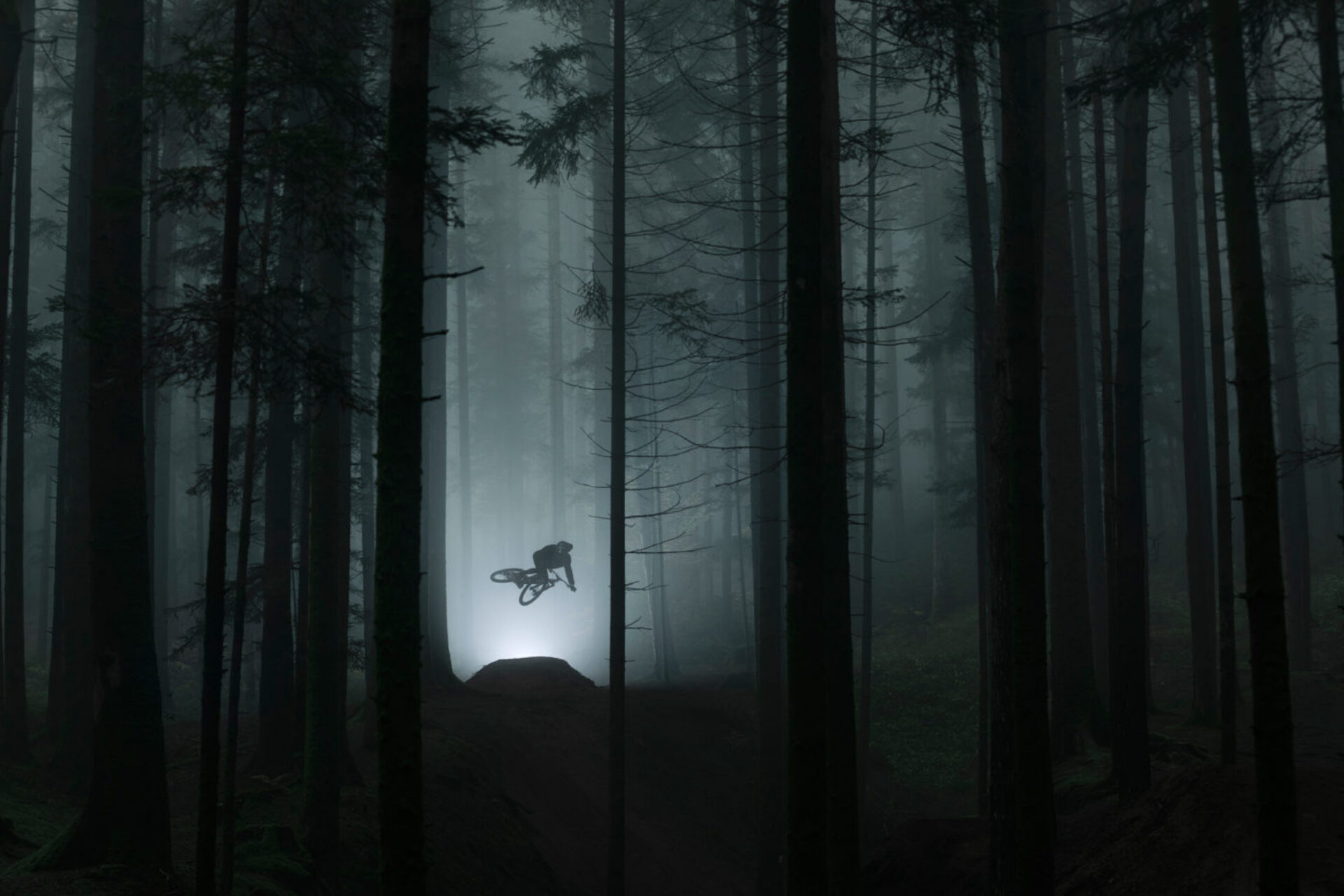 La forêt, photographie de Jean-Baptiste Liautard