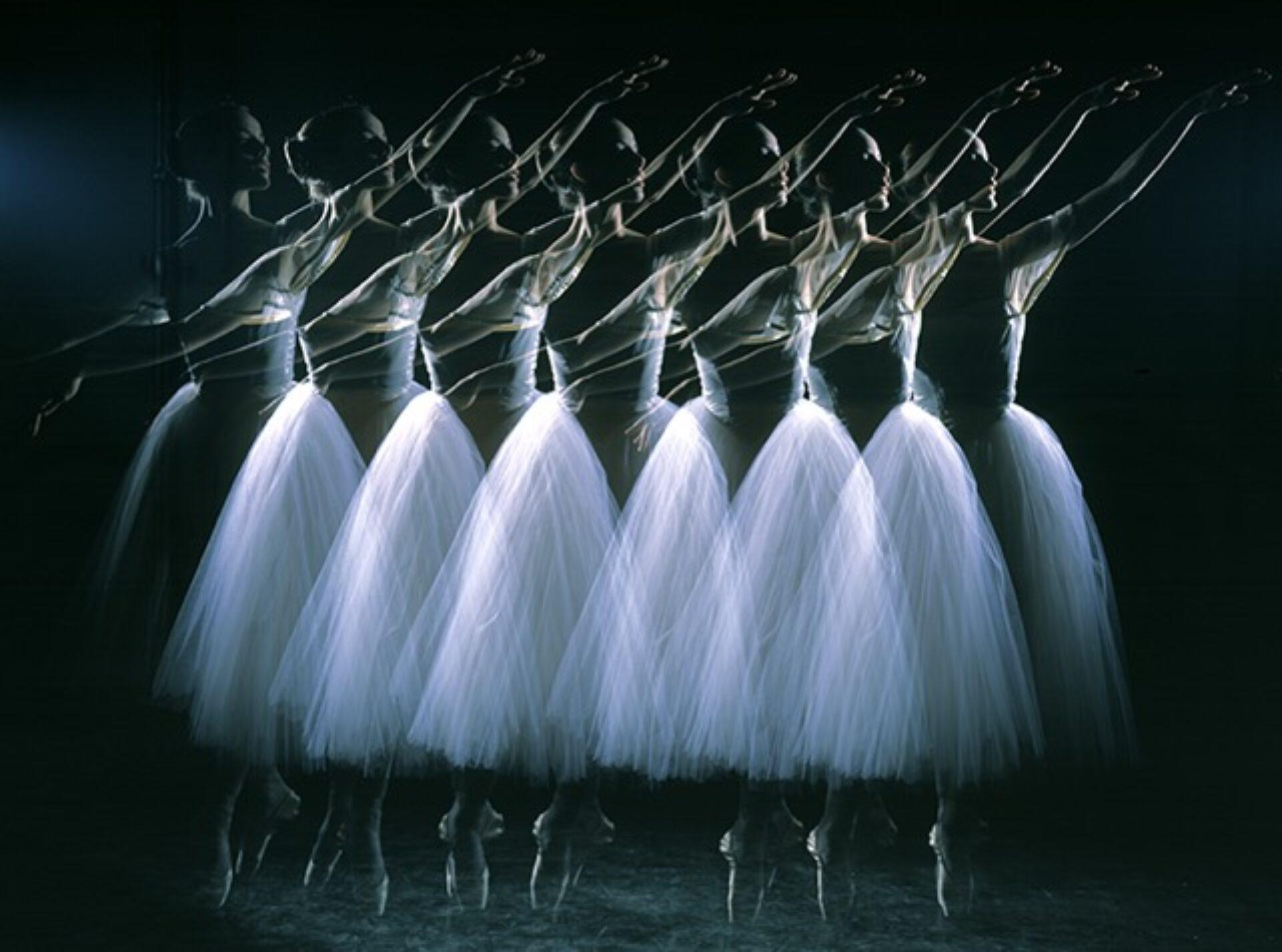 Darcey Bussell (2), photographie de Ian Bradshaw