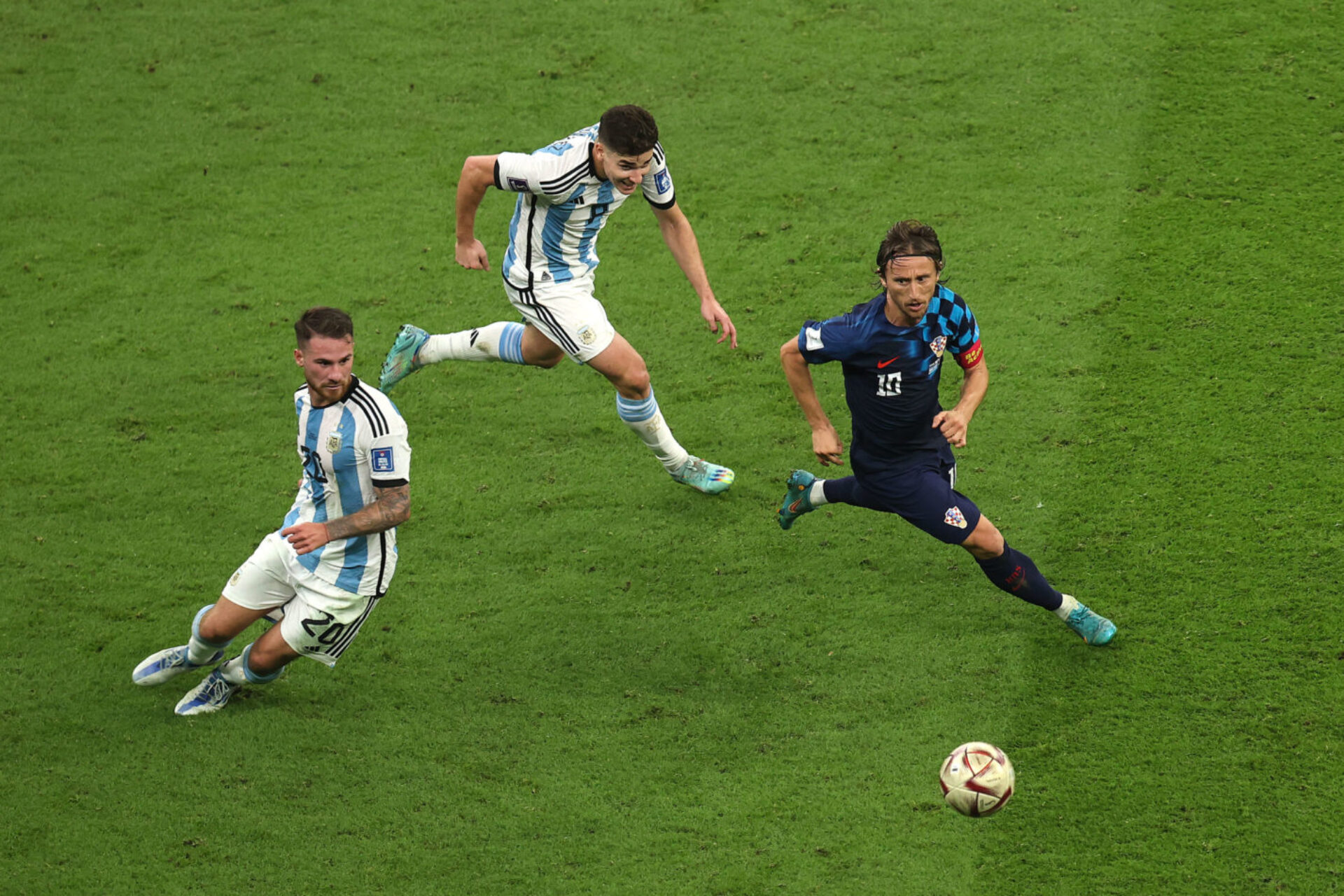 Modric, photographie de Charlotte Wilson