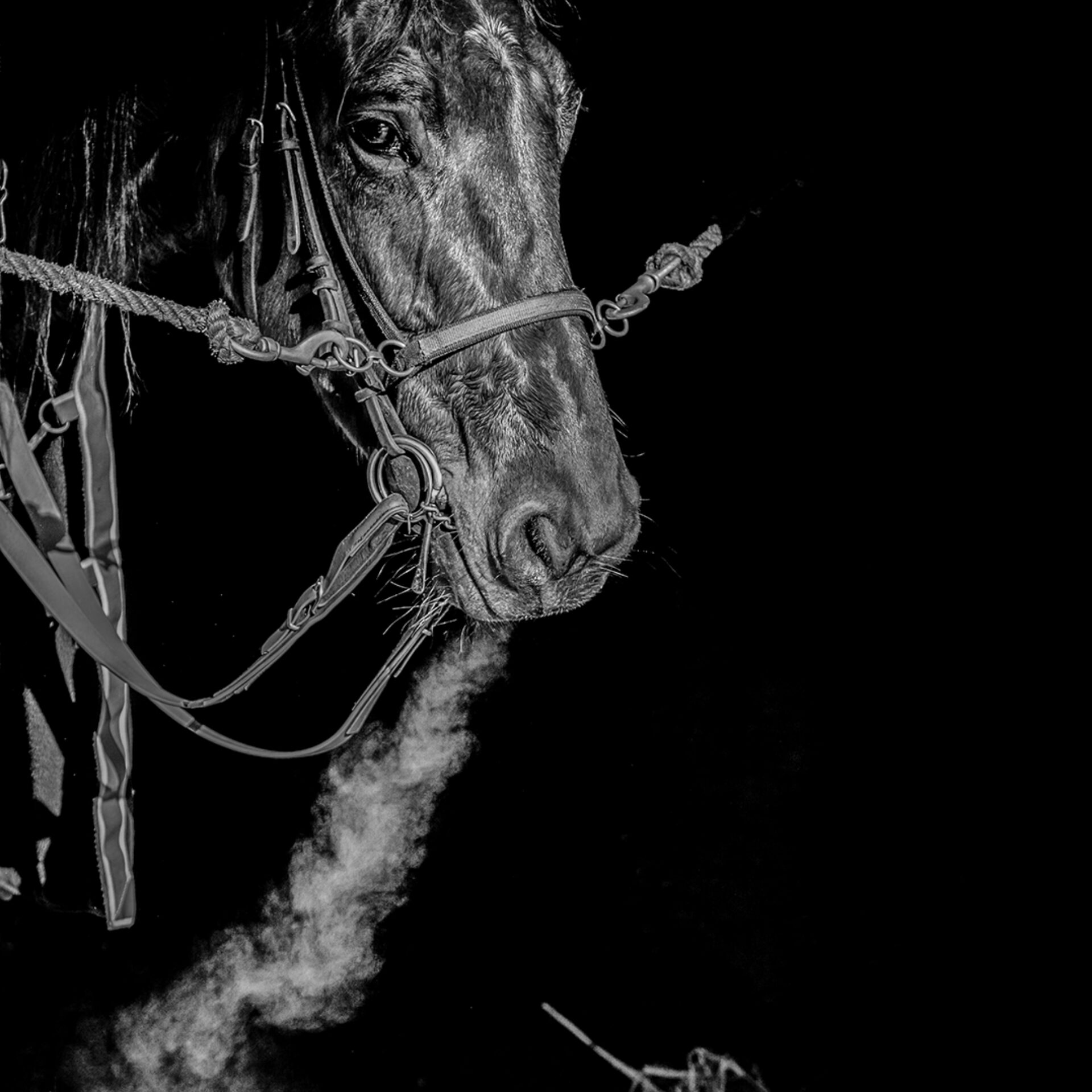 Tracks XIX, photographie de Bruno Charoy
