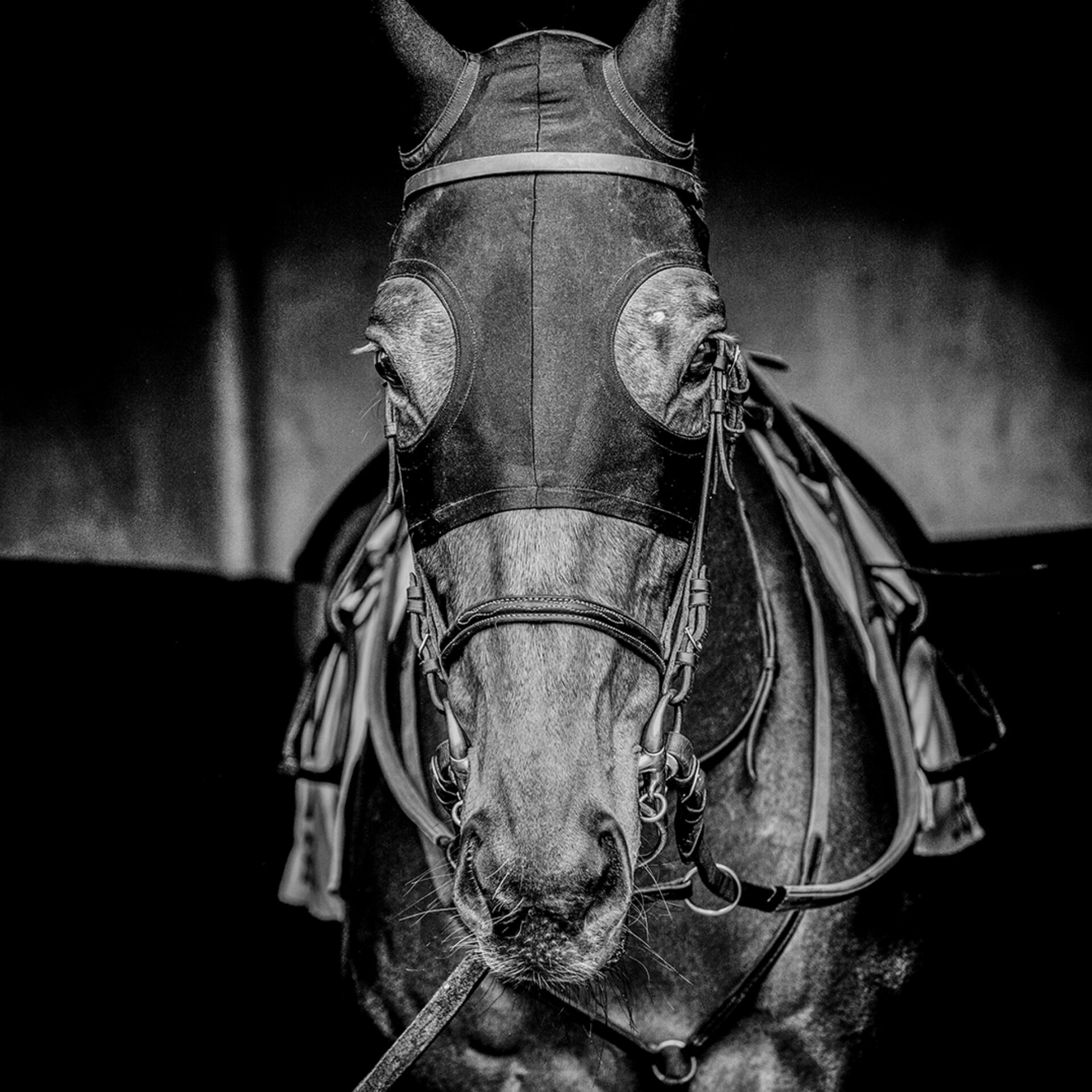 Tracks XVII, photographie de Bruno Charoy