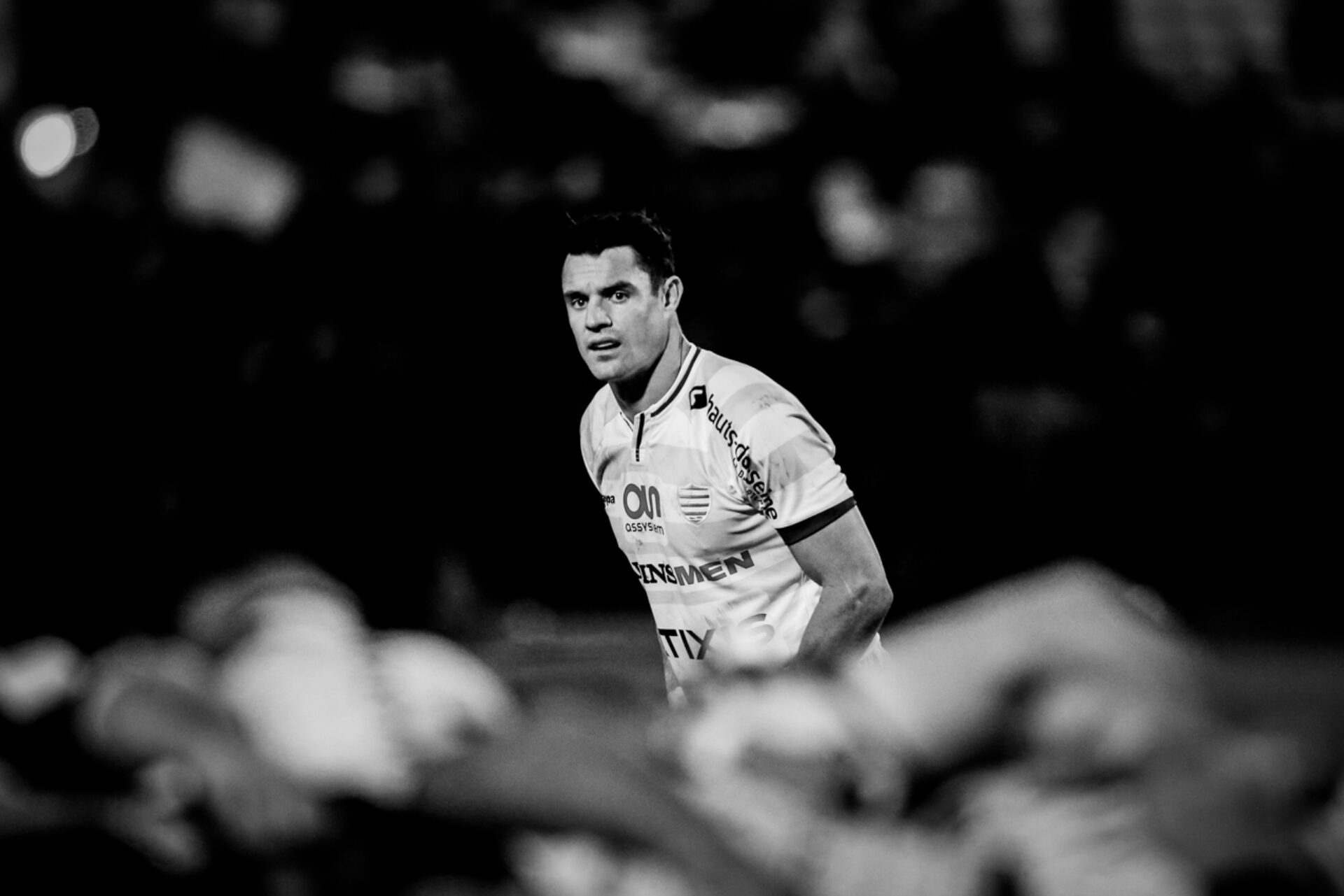 Dan Carter (2), photographie de Julien Poupart