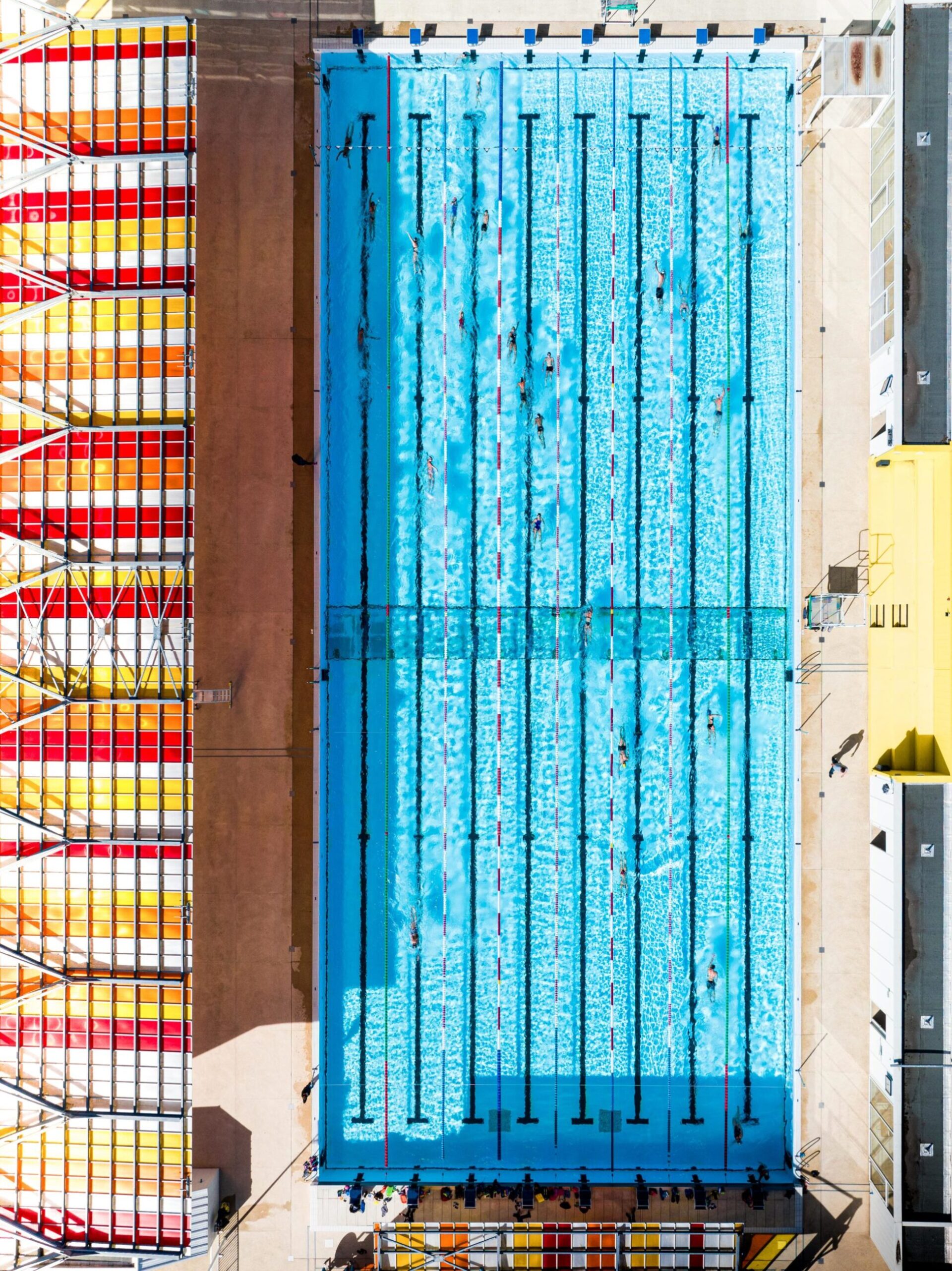 Natation, photographie de Edouard Salmon