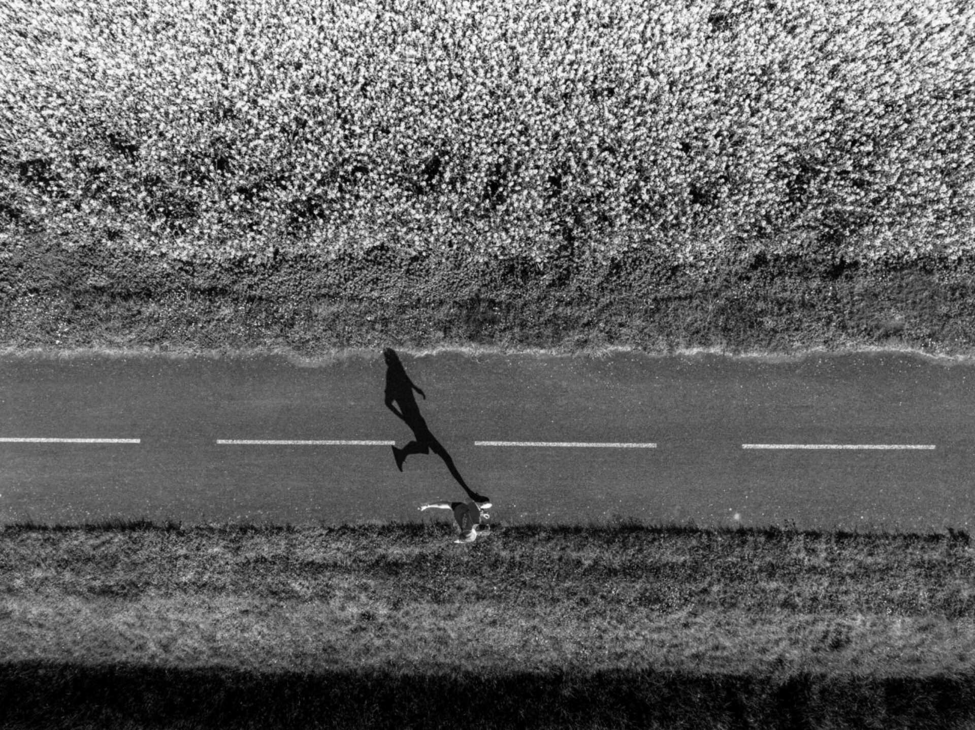 Running (3), photographie de Edouard Salmon